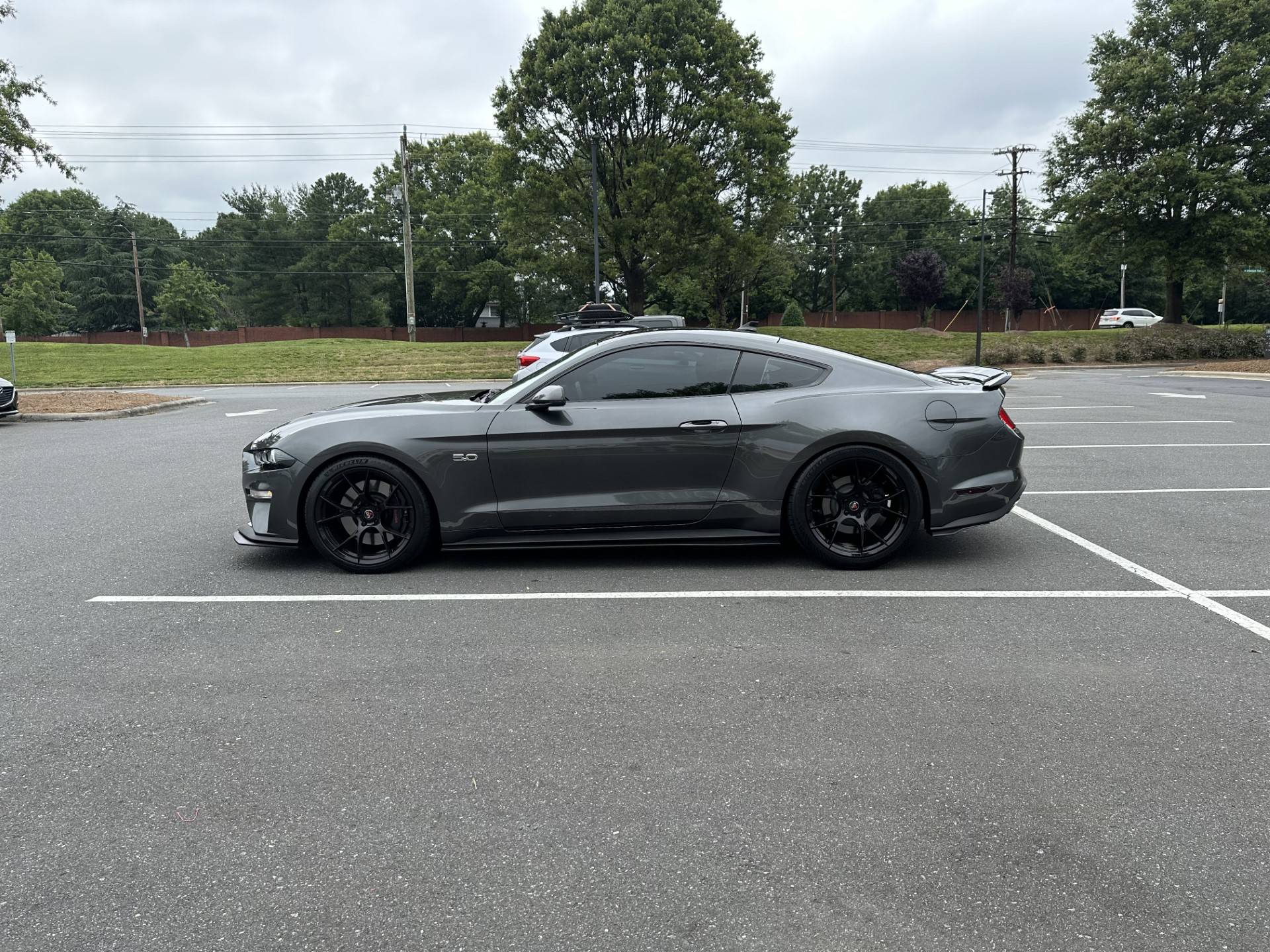 Mustang 3.jpg