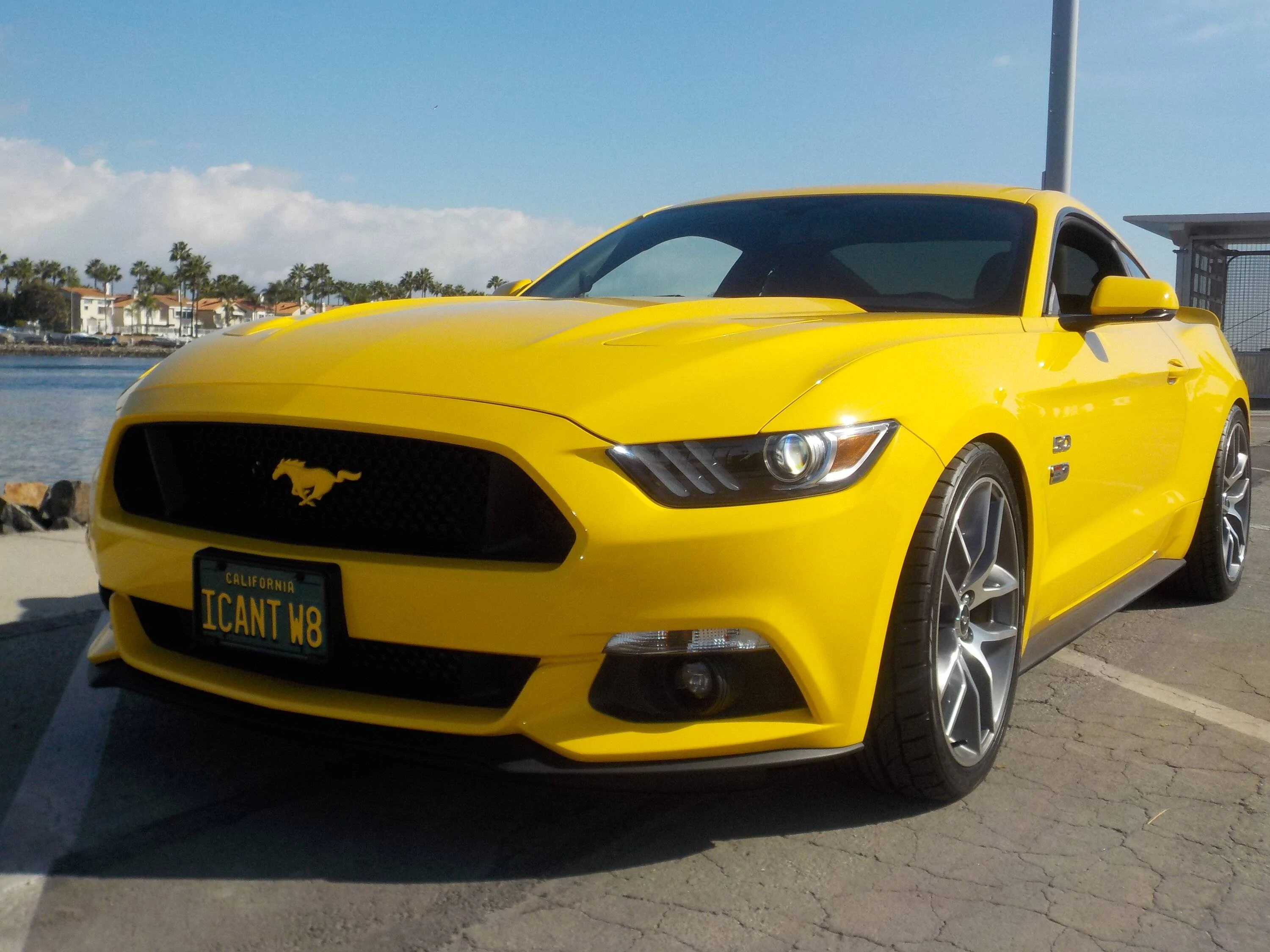 DSCN0102.webp