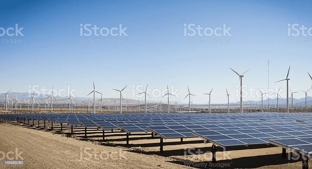 1686190783152.webp