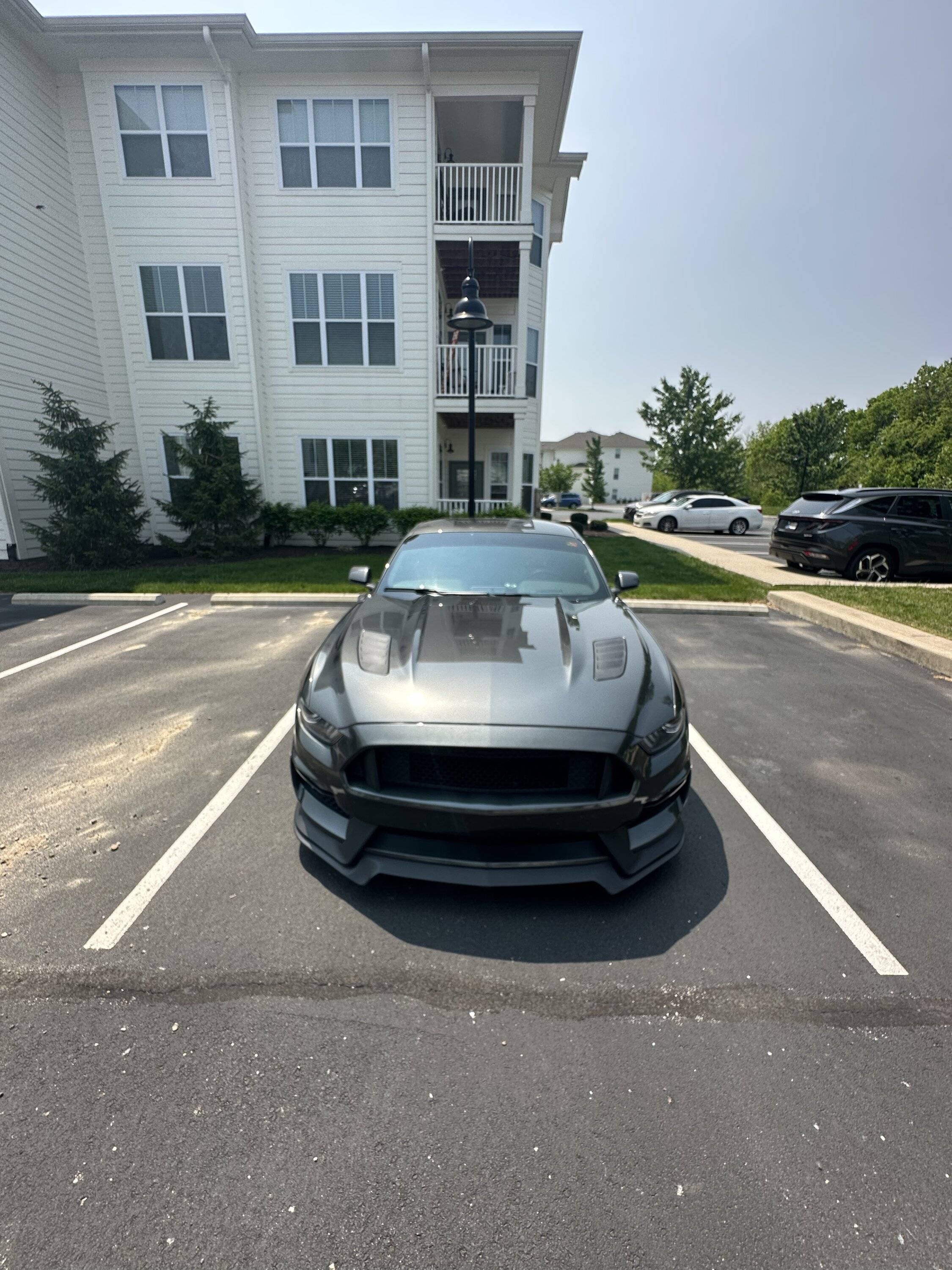 9176D45E-E6D1-4FE2-B302-E1692F28B0D0.jpeg