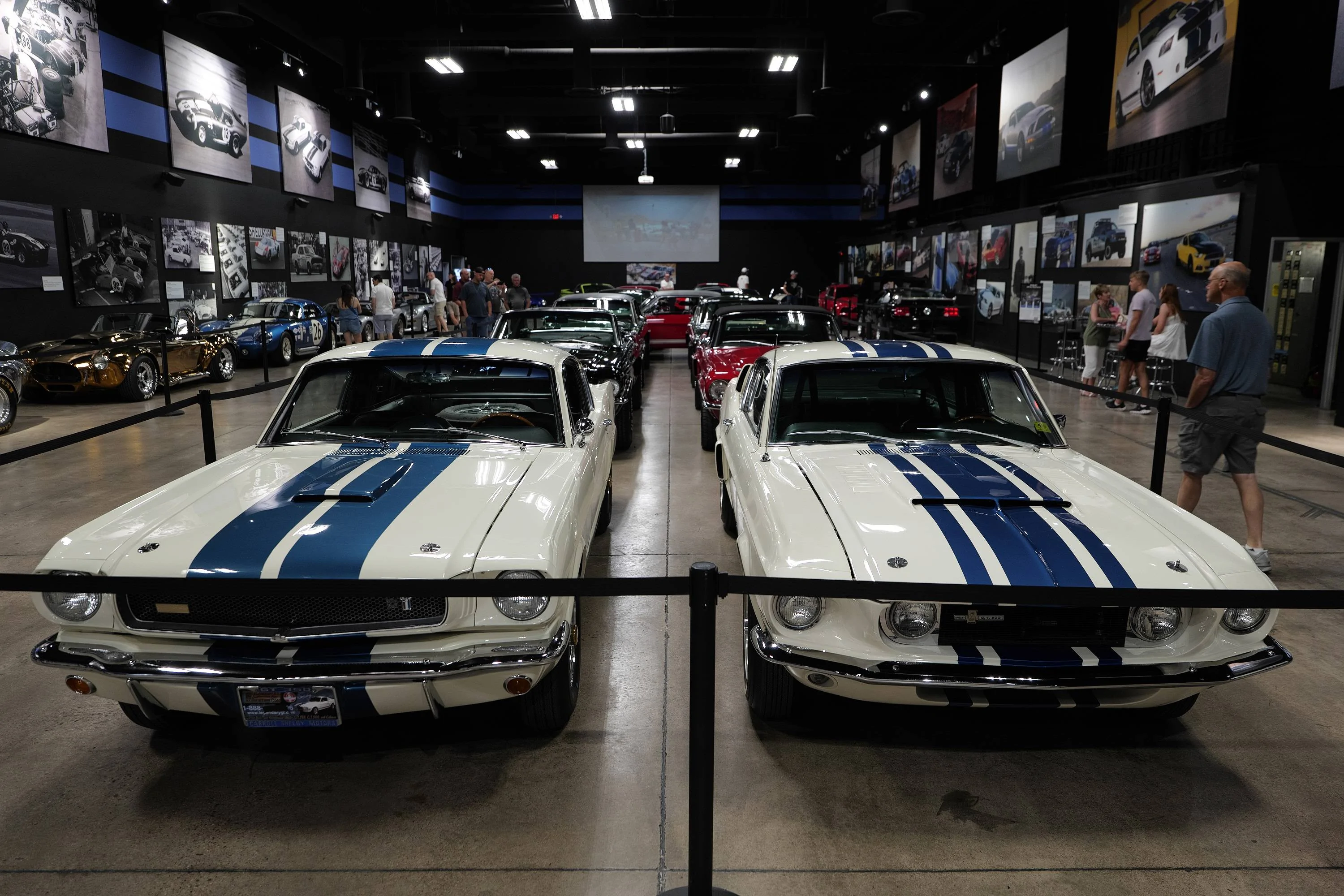 P1722673.webp