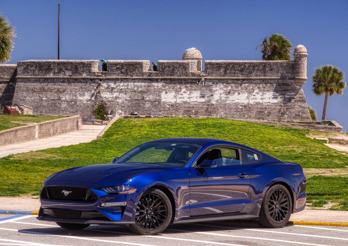 mustang_1330131.jpg