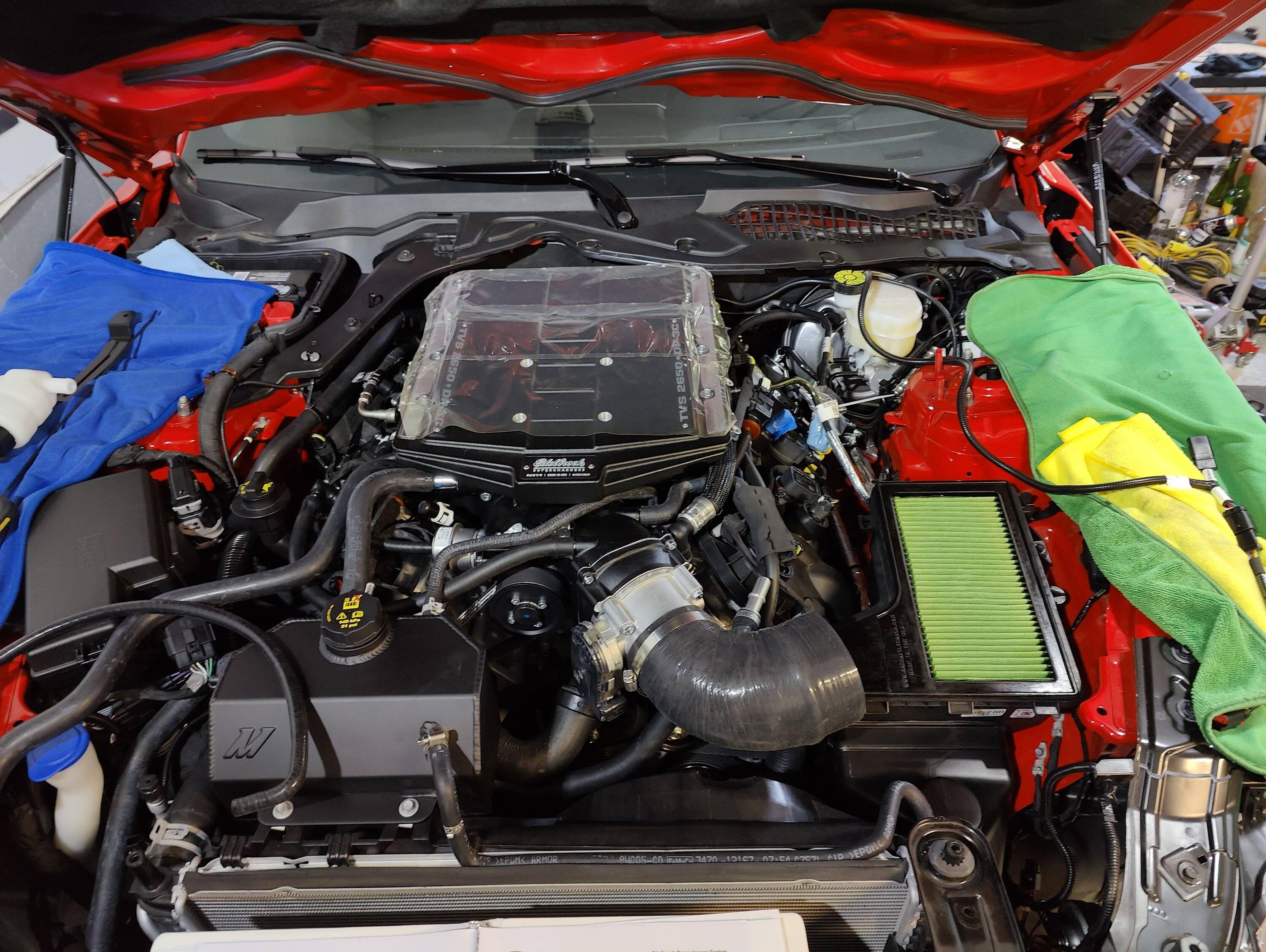IMG20230620100344.jpg