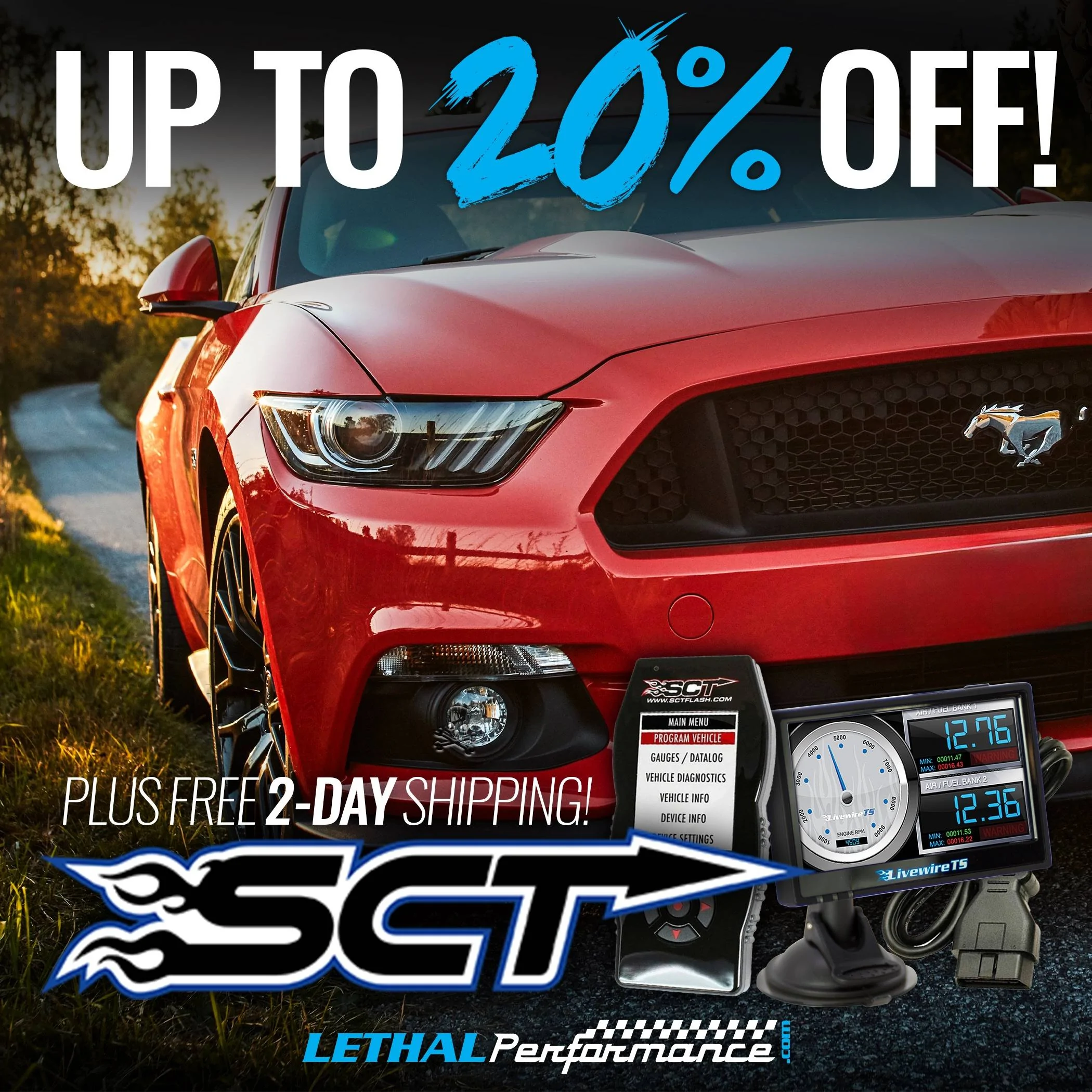 sct sale 2.webp