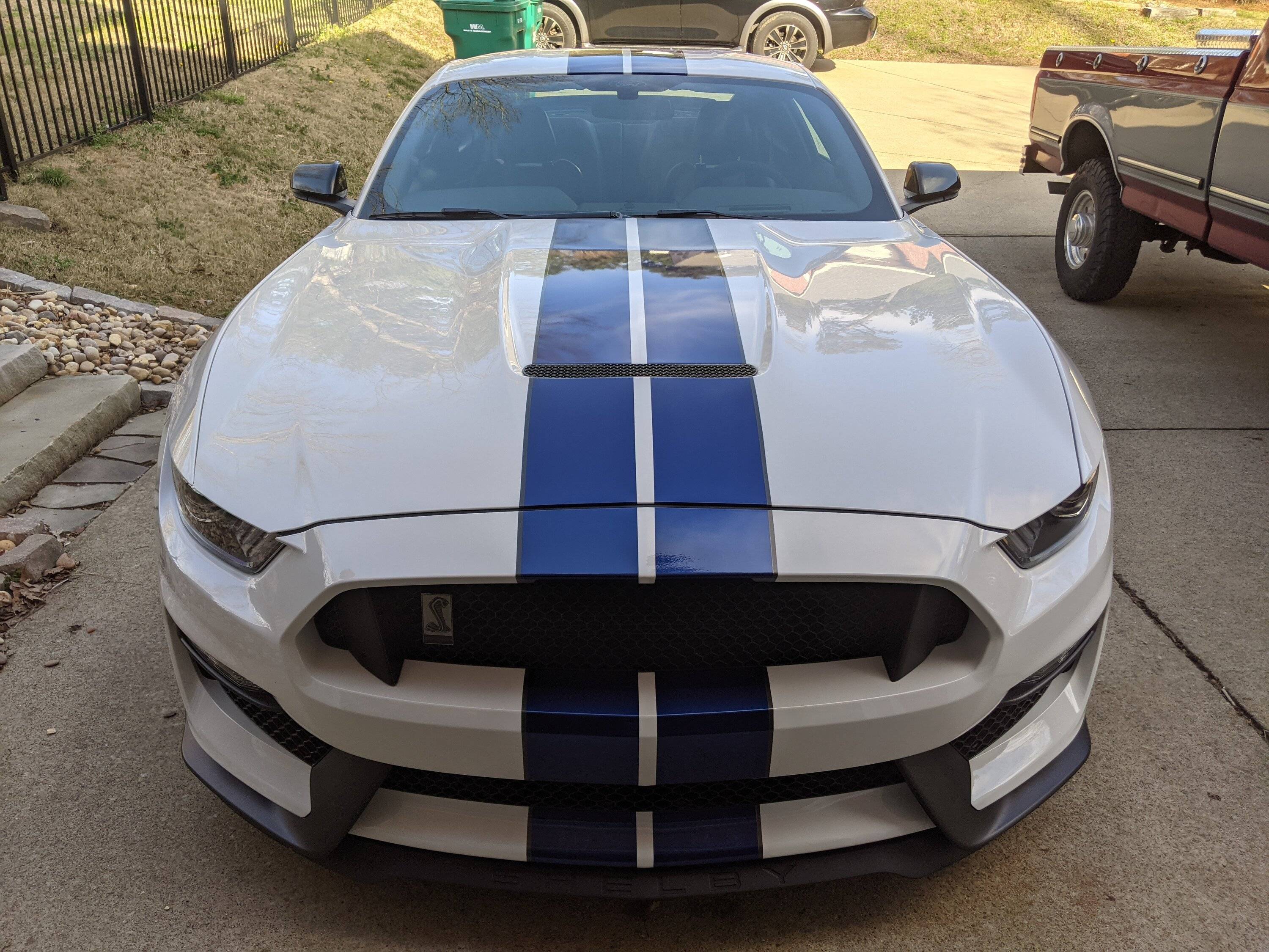 GT350 Blue Stripes Front.jpg