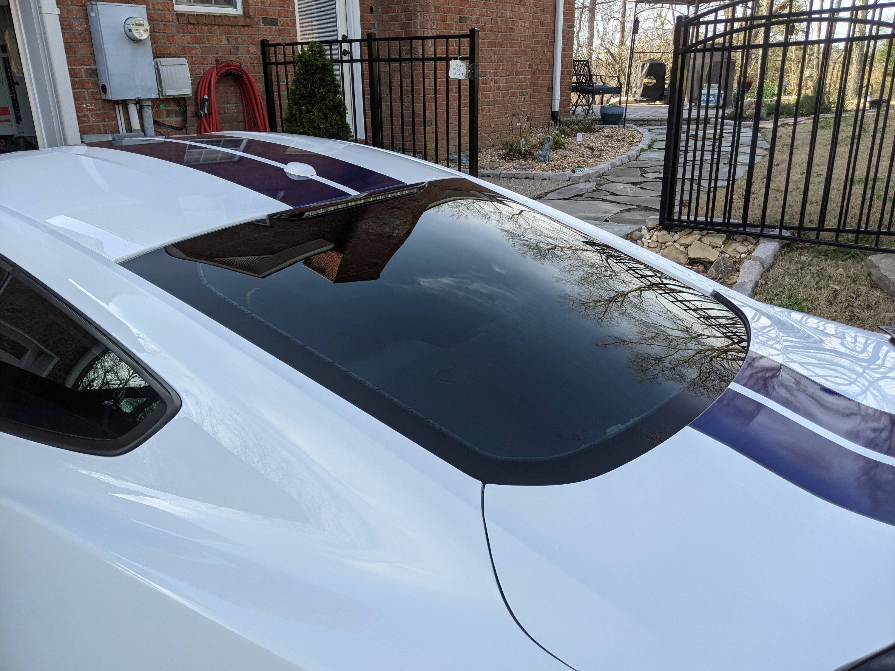 Rear Window Tint.jpg