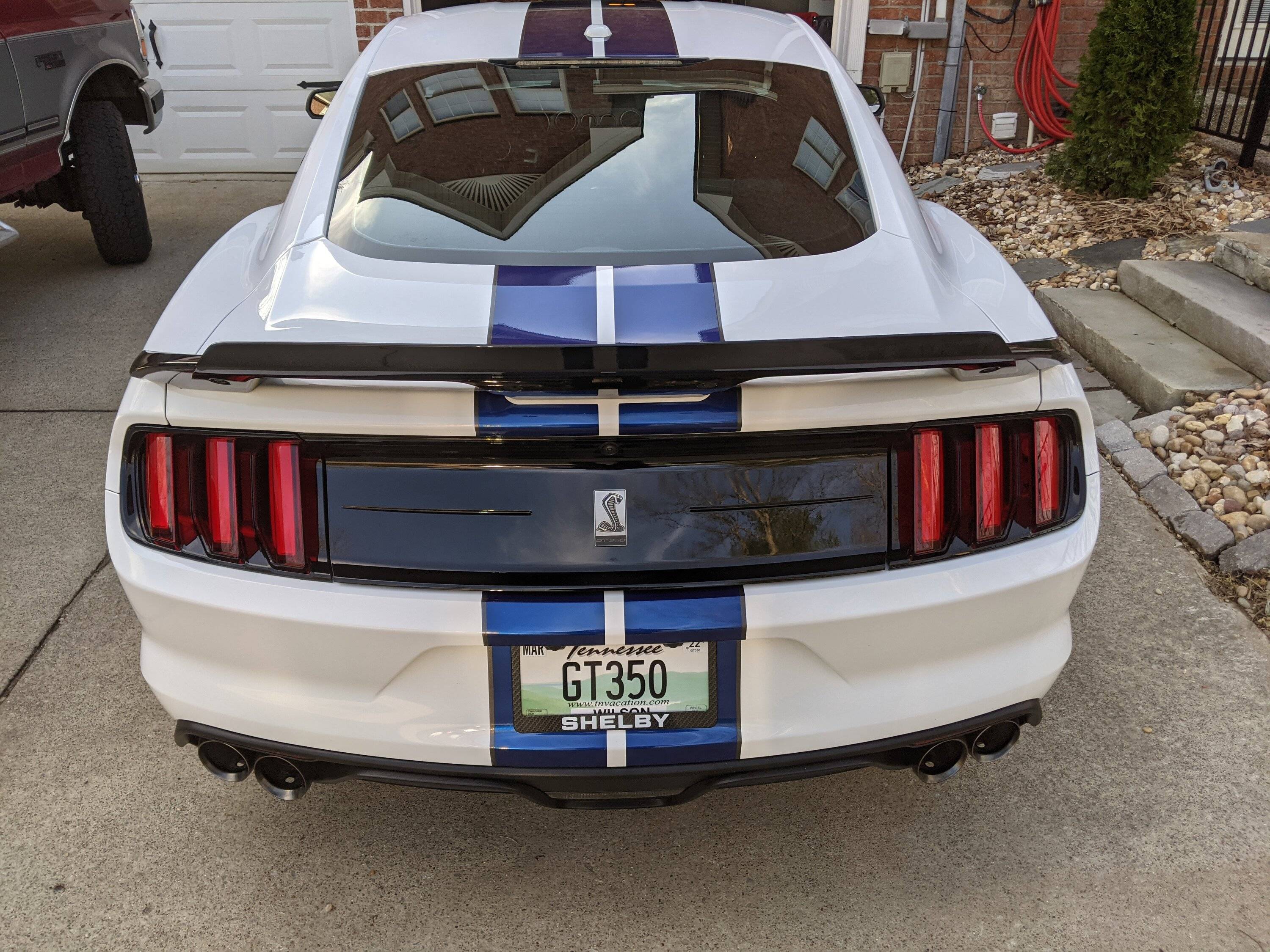 GT350 Plate.jpg