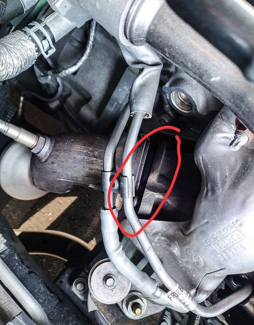 Mustang Leakage.jpg