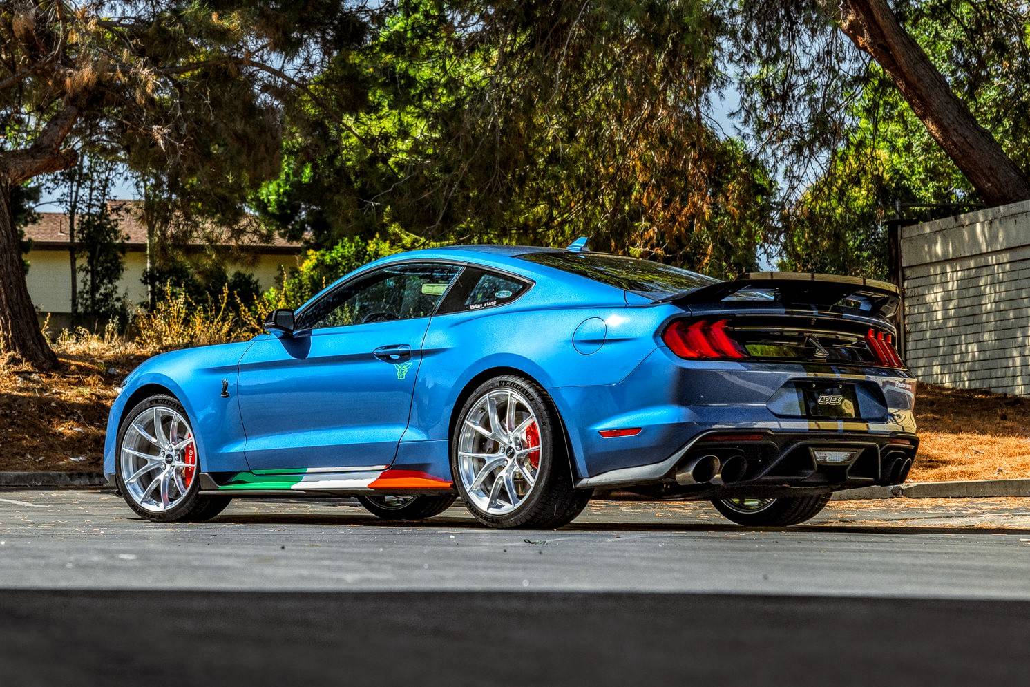 16-mustang~2.jpg