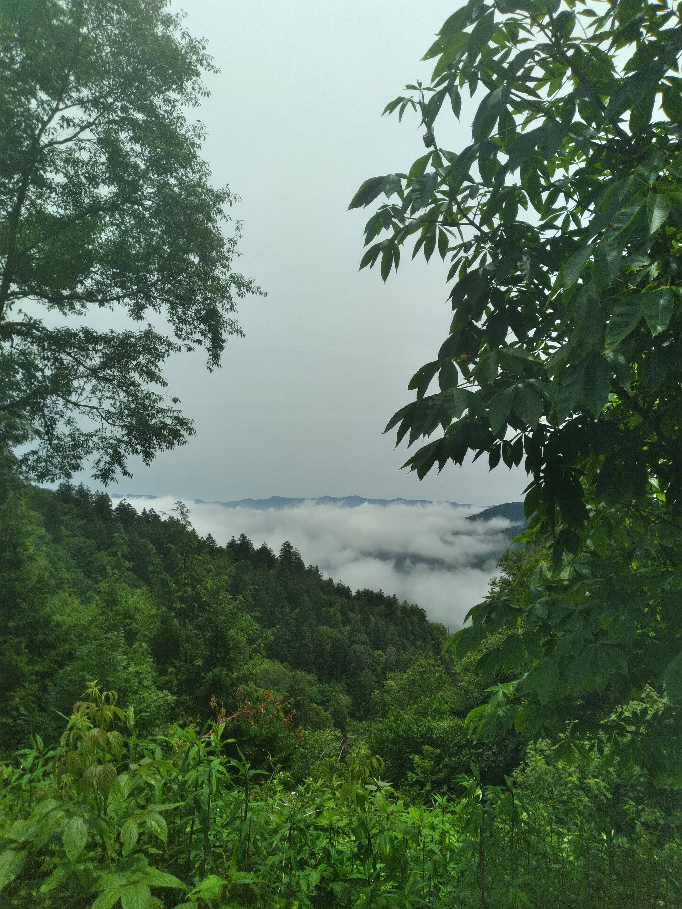20230630_135124.jpg
