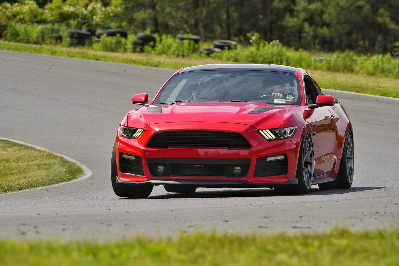mustang backround 2.jpg