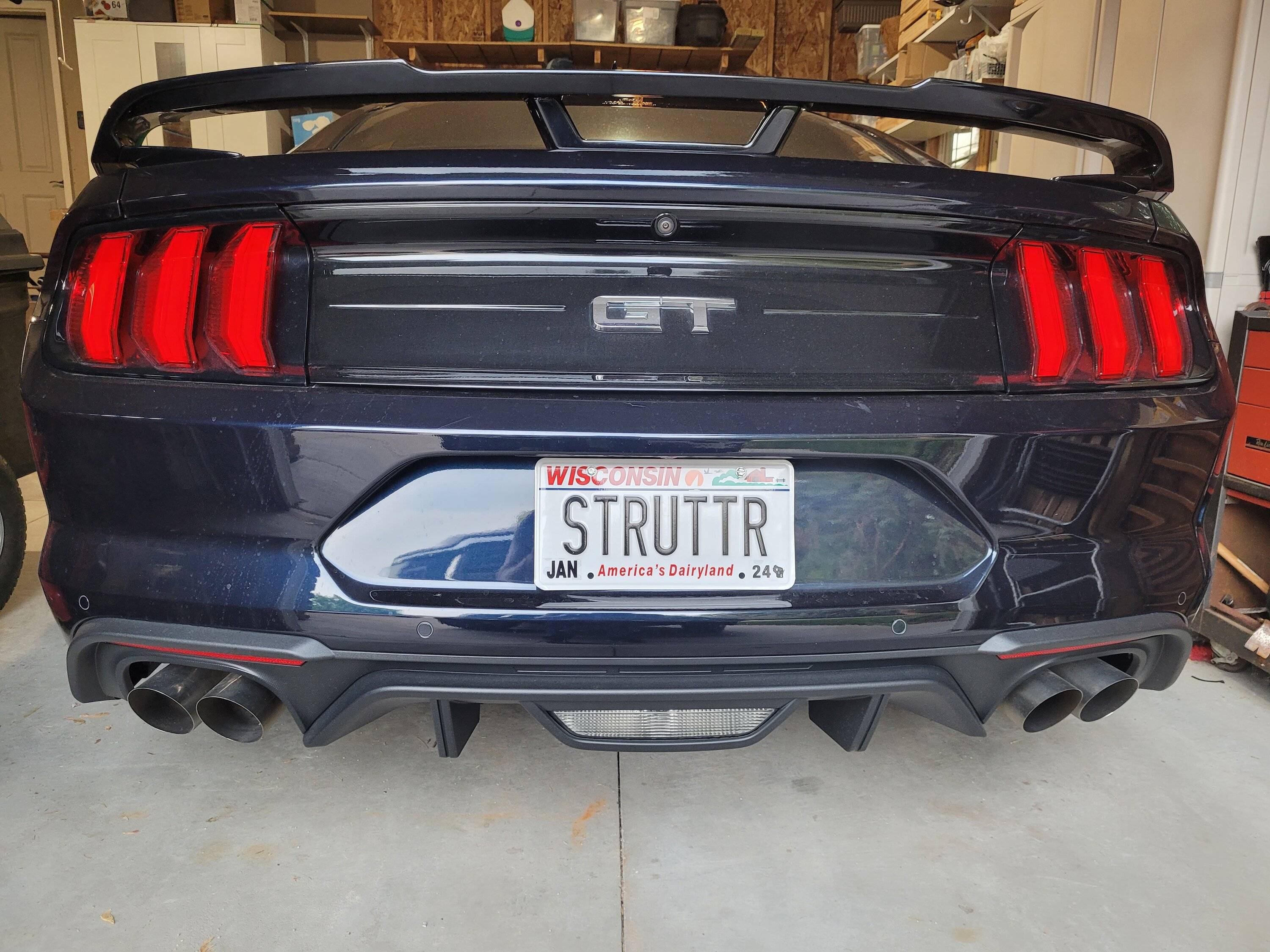 Struttr.jpg
