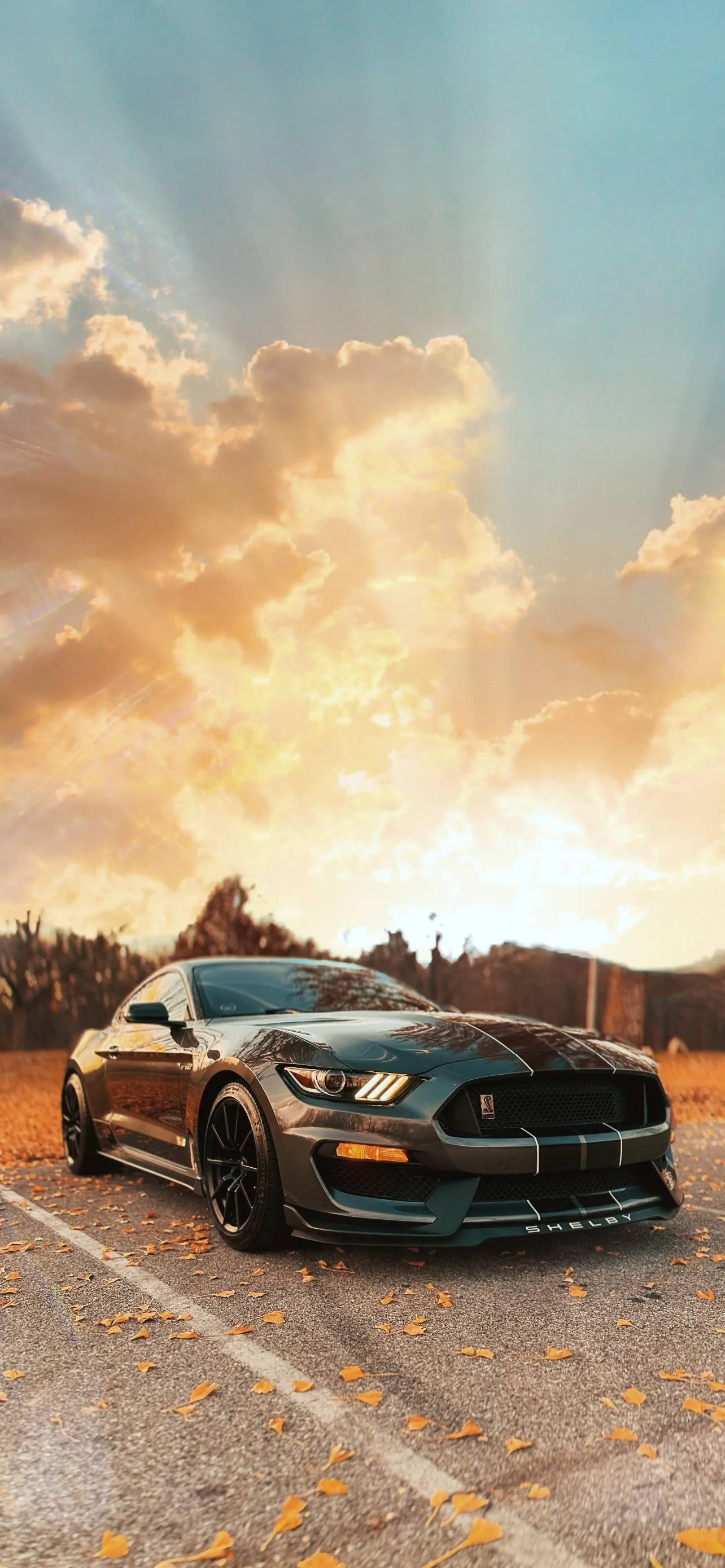 F3AA2F19-4236-496F-B991-E4D57D423AE9.webp