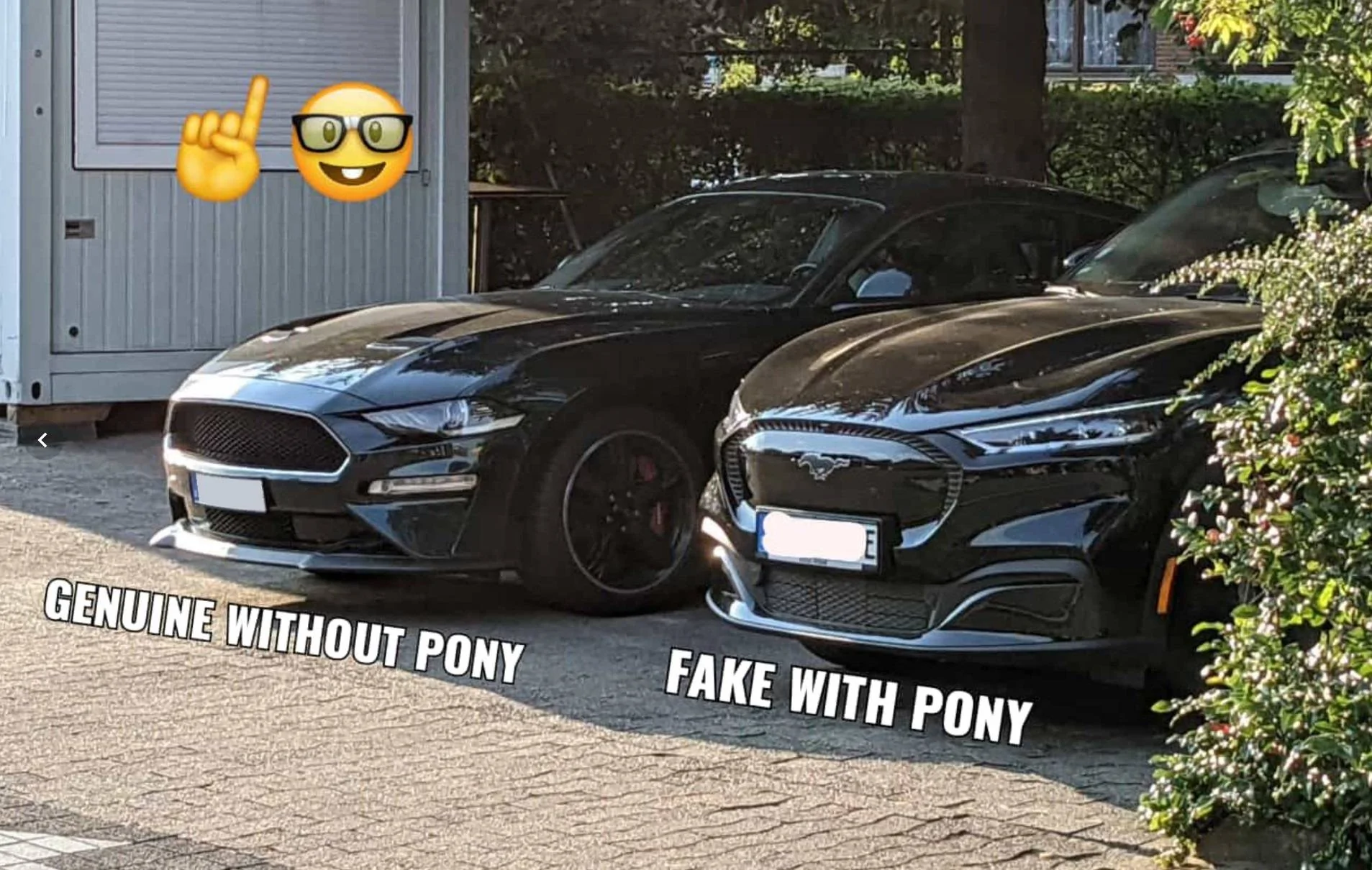 fake_pony.webp