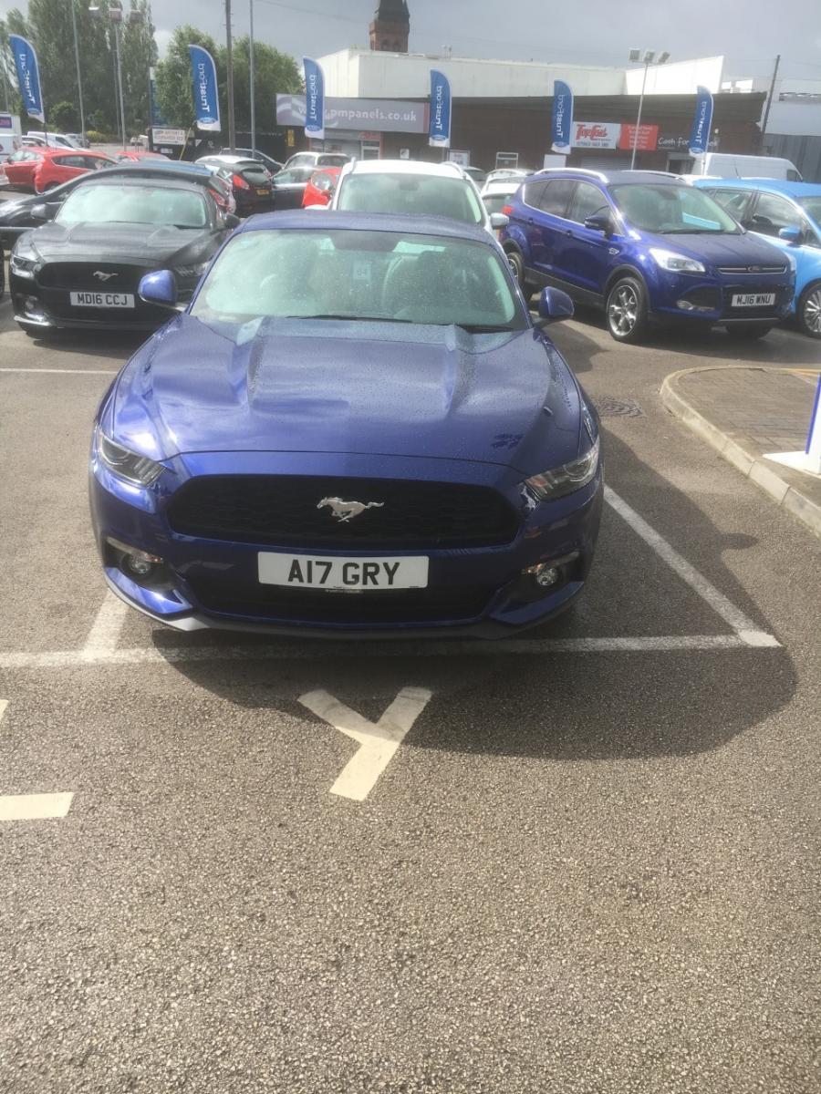 Mustang Pick UP.jpg