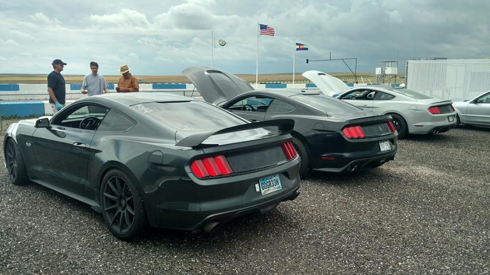 gt350's.jpg