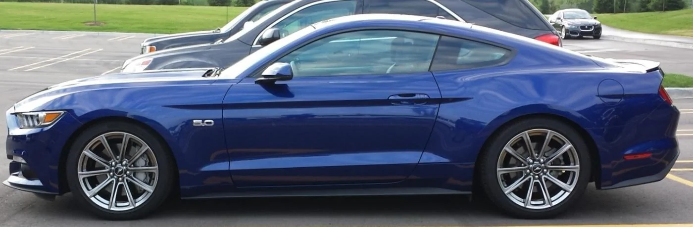 Stance Cropped.webp