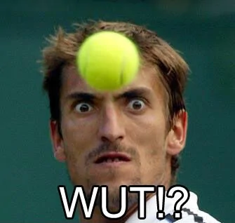 wut.webp