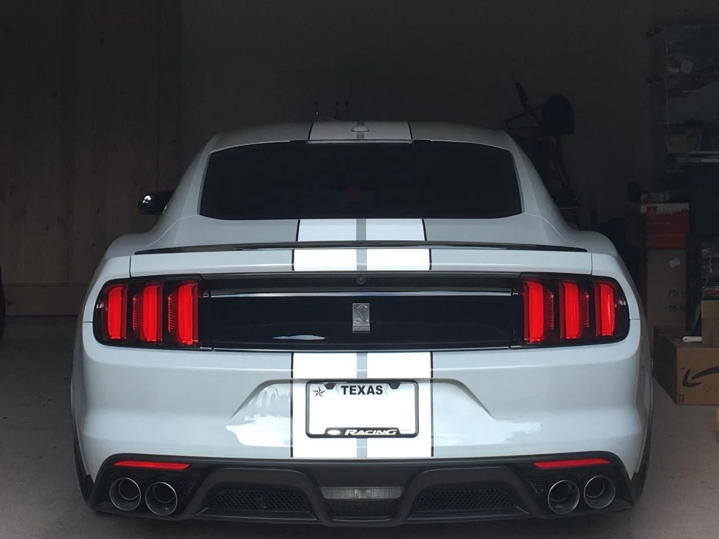 back.webp