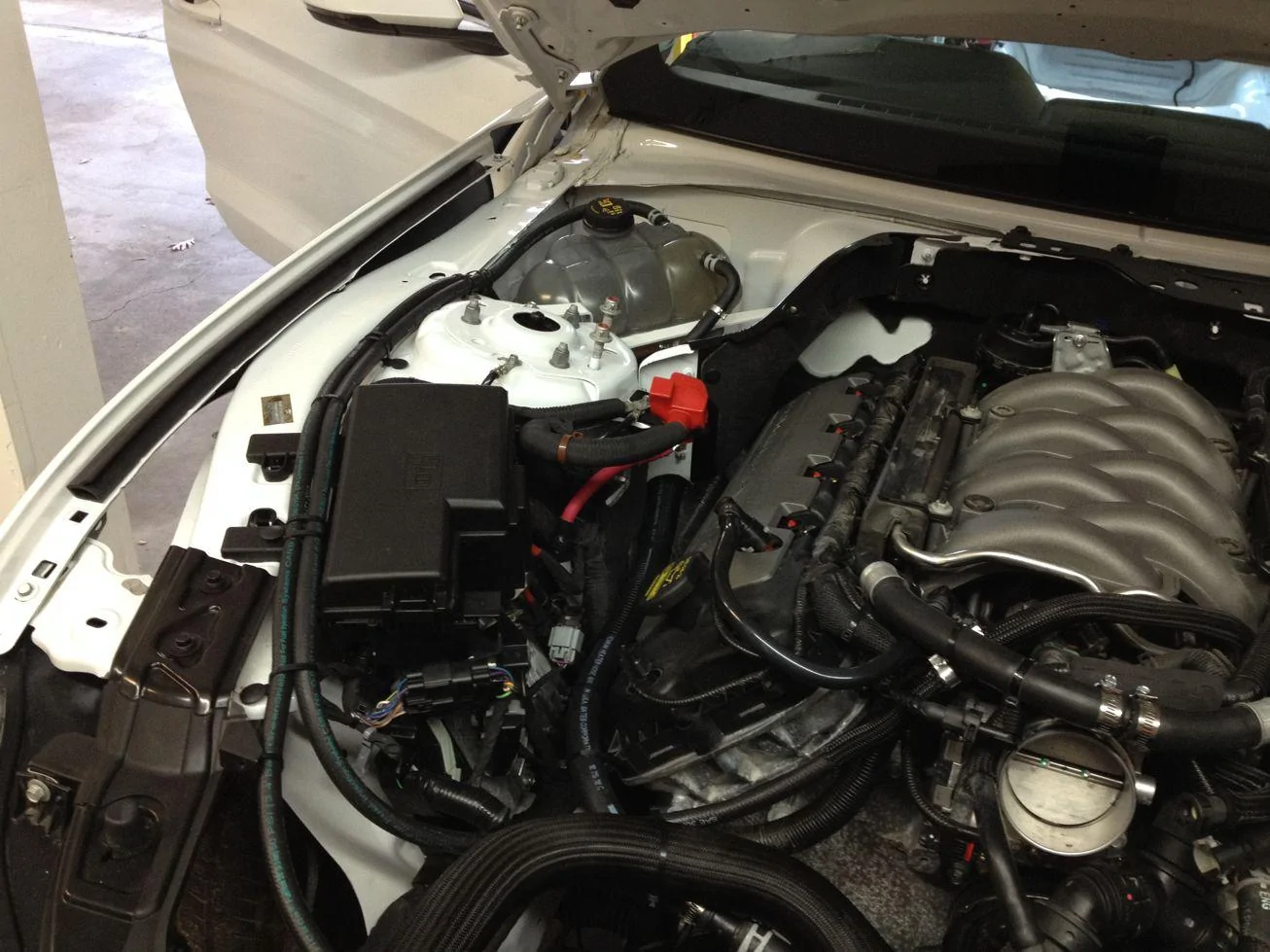 Coolant bottle.webp