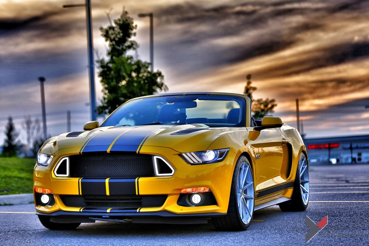 _A8A1216.webp