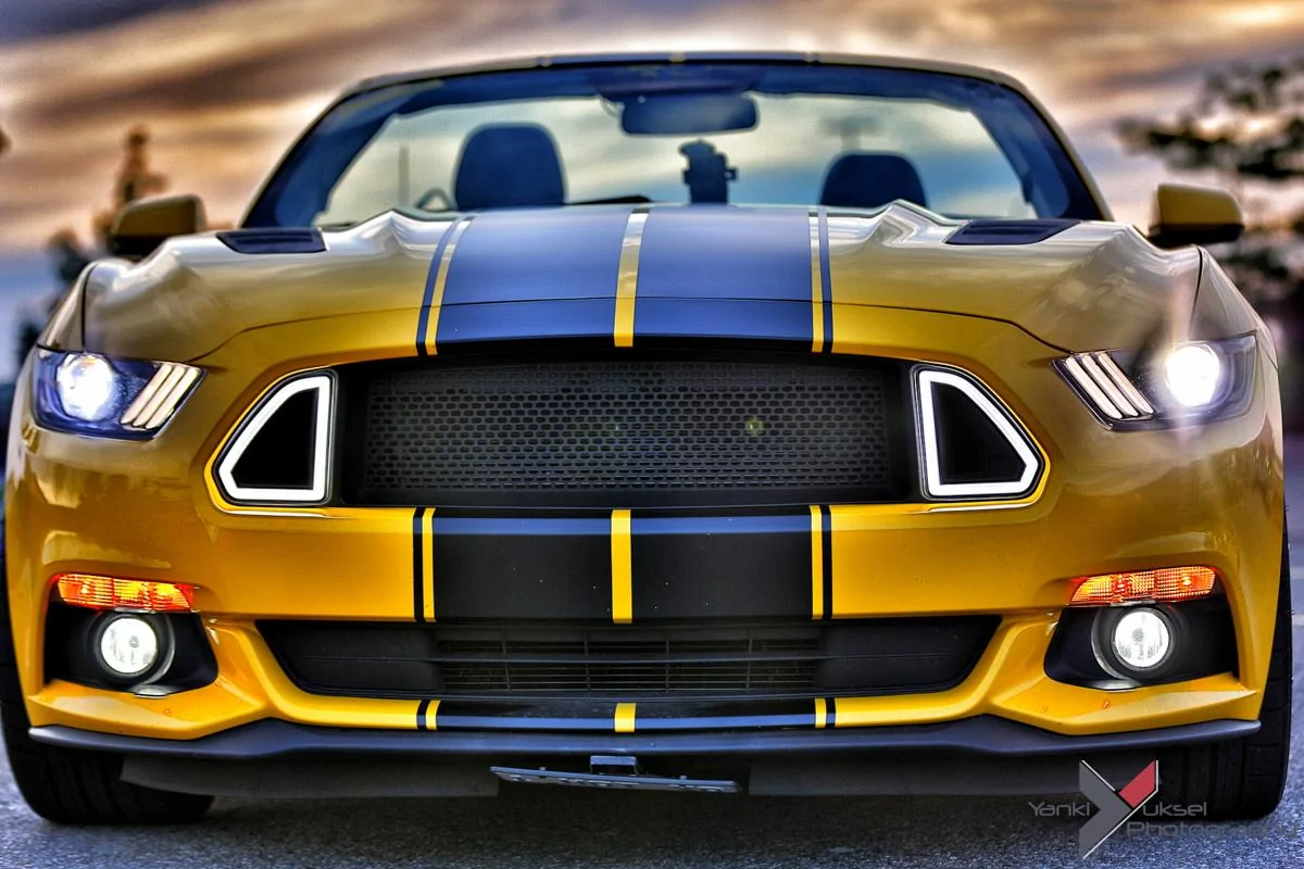 _A8A1223.webp