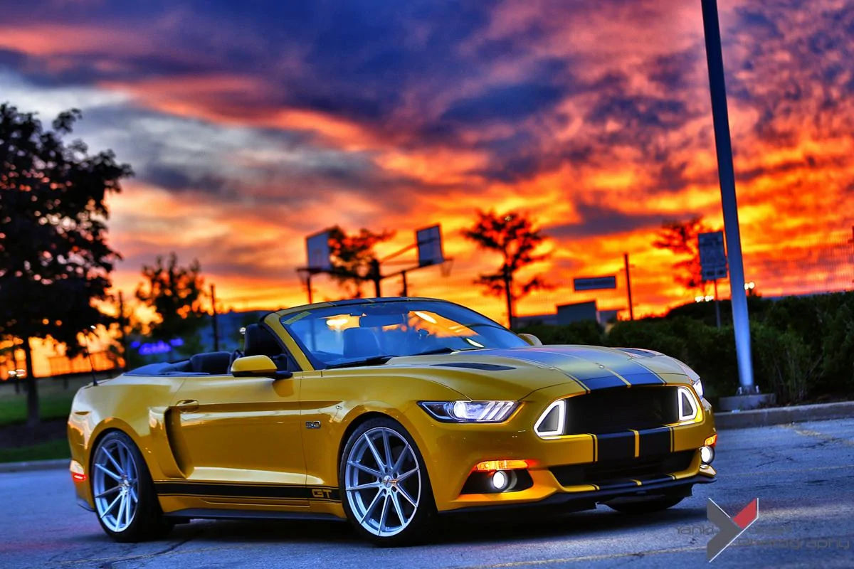 _A8A1249.webp