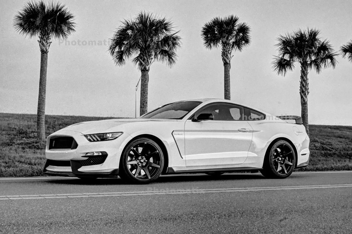 gt350rhdr1.webp