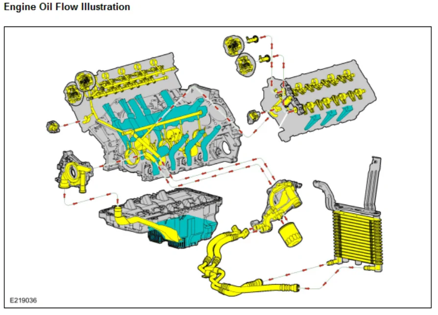 DBB354EF-A991-40CC-8236-EEF9F50D37BB.webp