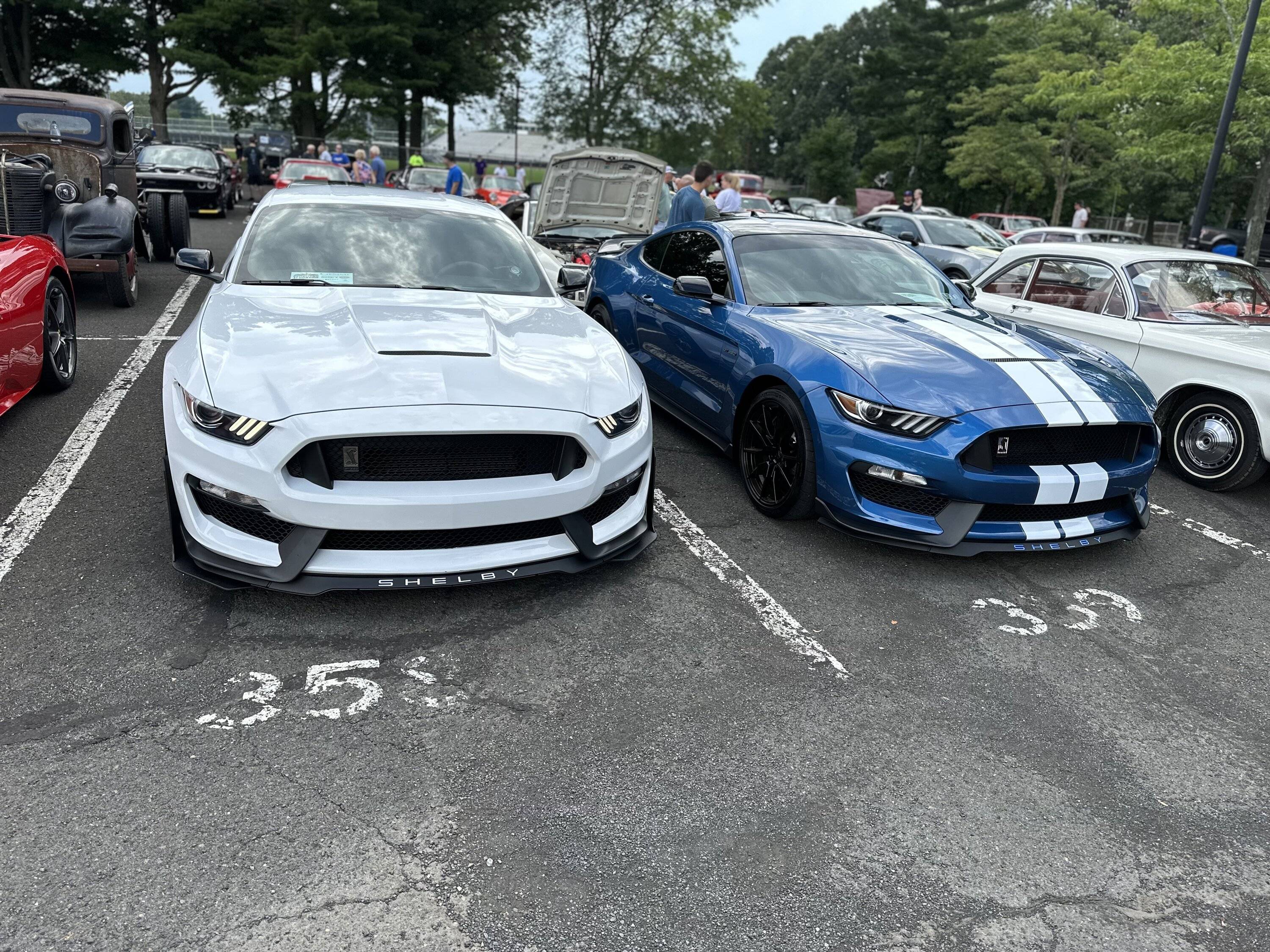 IMG_5976.jpeg
