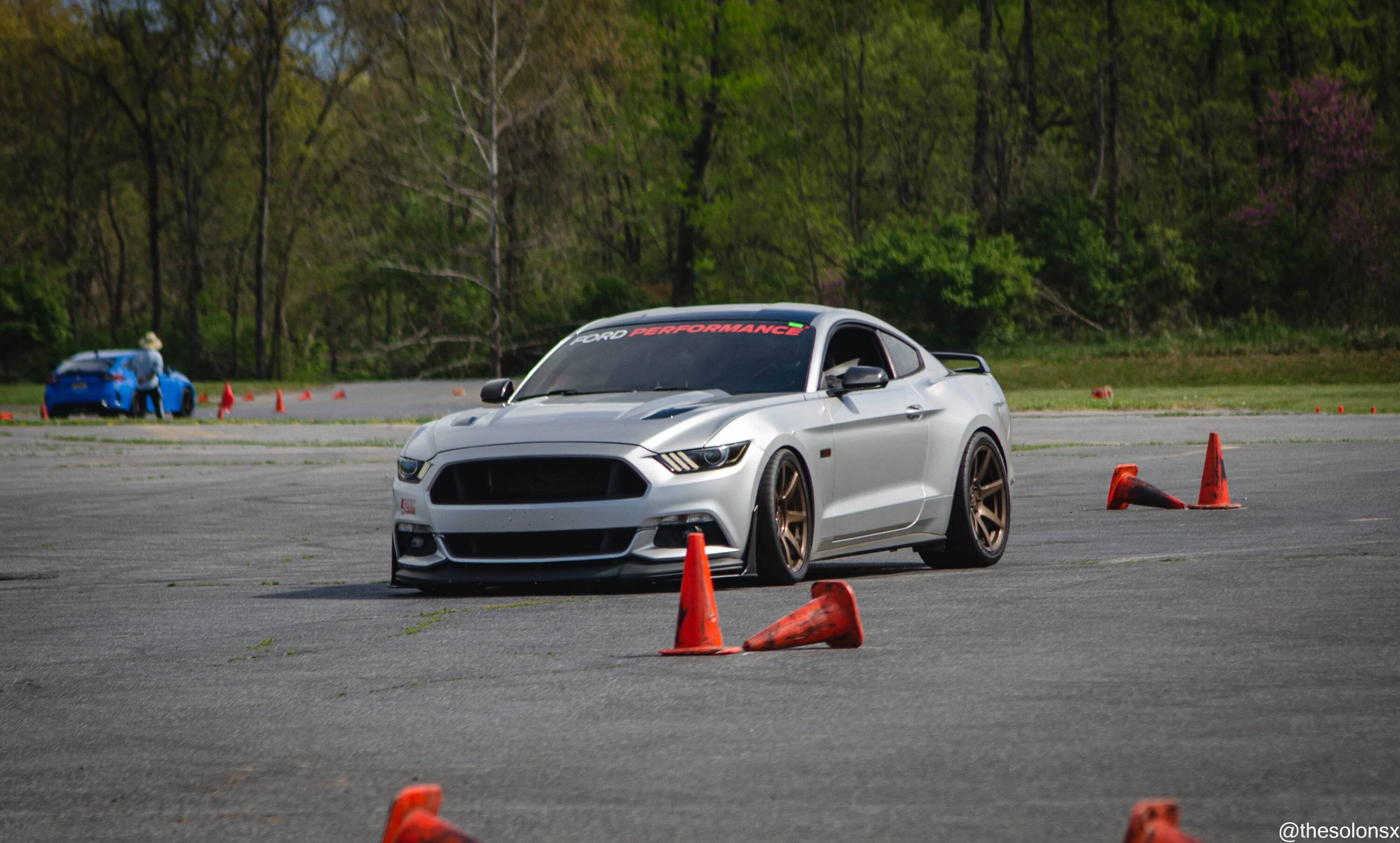 mustang action.webp