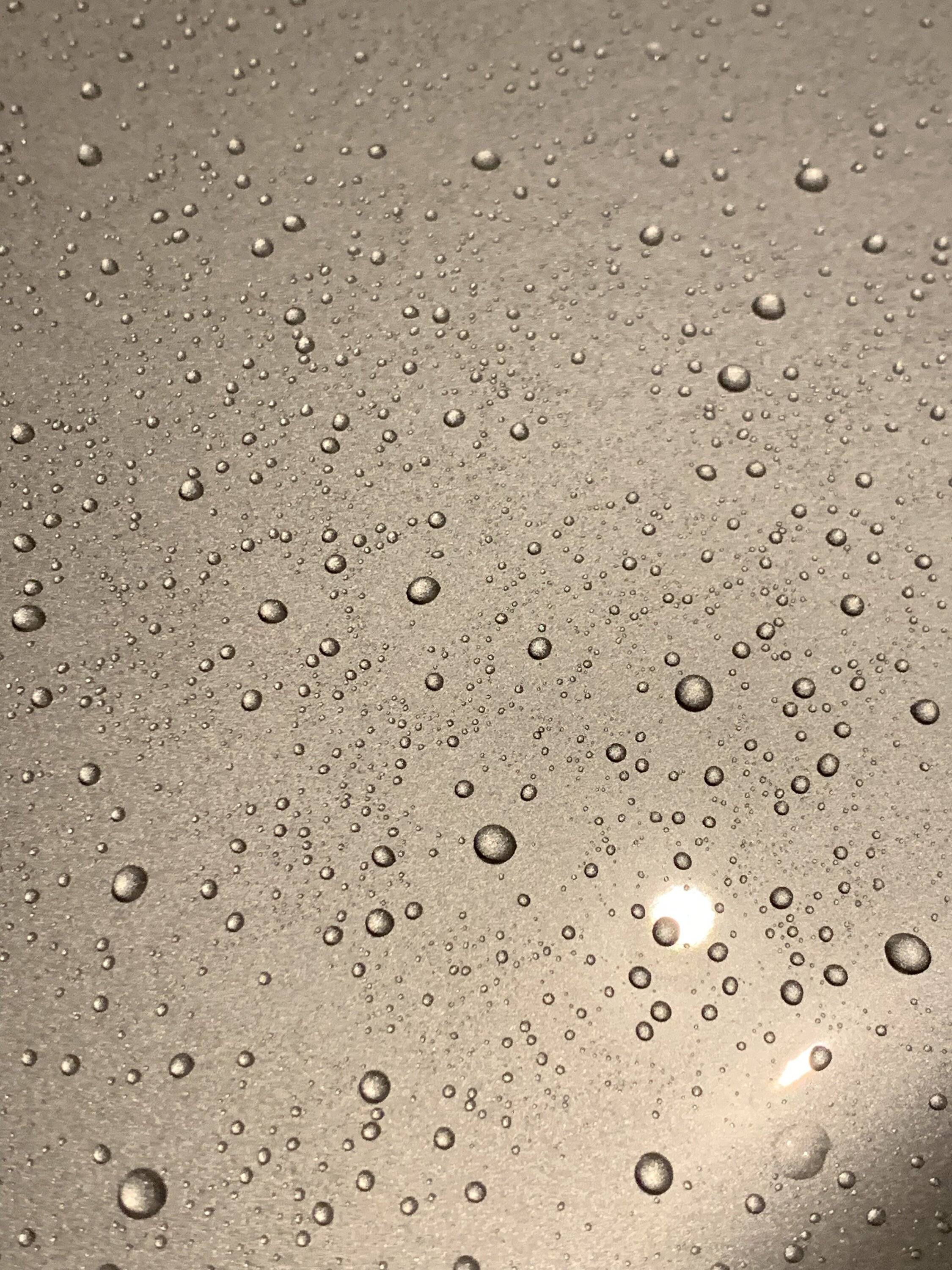 IMG_9027.jpeg