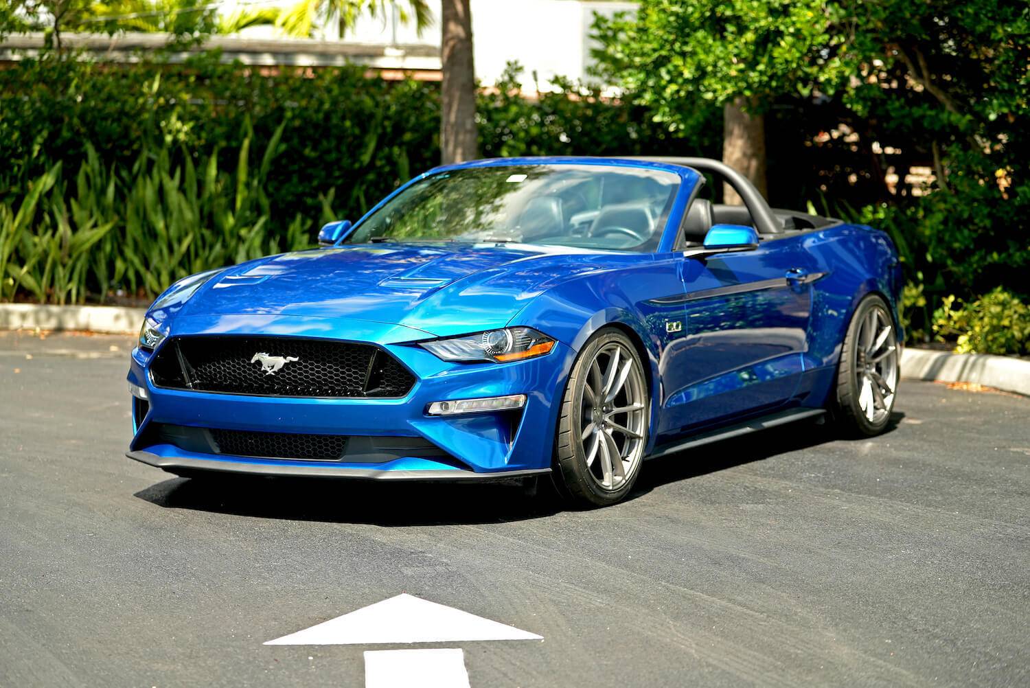 steeda-sport-lowering-springs-s550-blue-1__28470.jpg