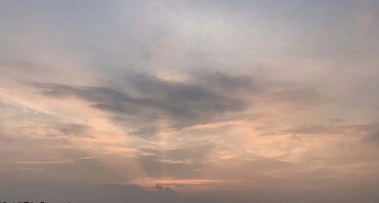 Screenshot 2023-07-19 at 8.09.44 PM.webp