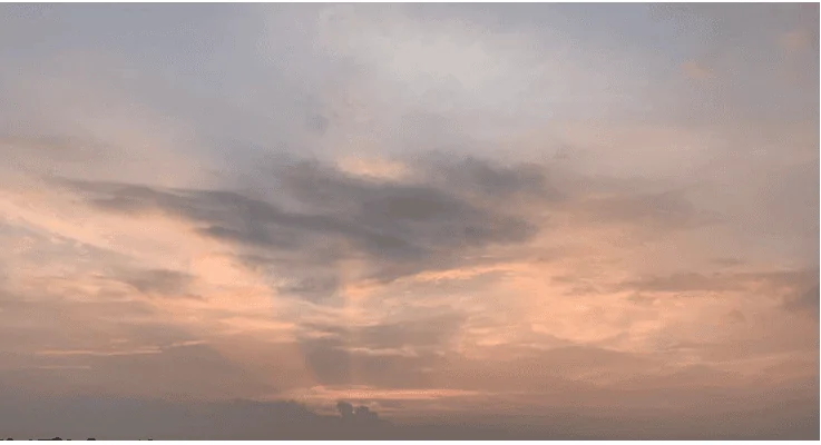1689816920002.png