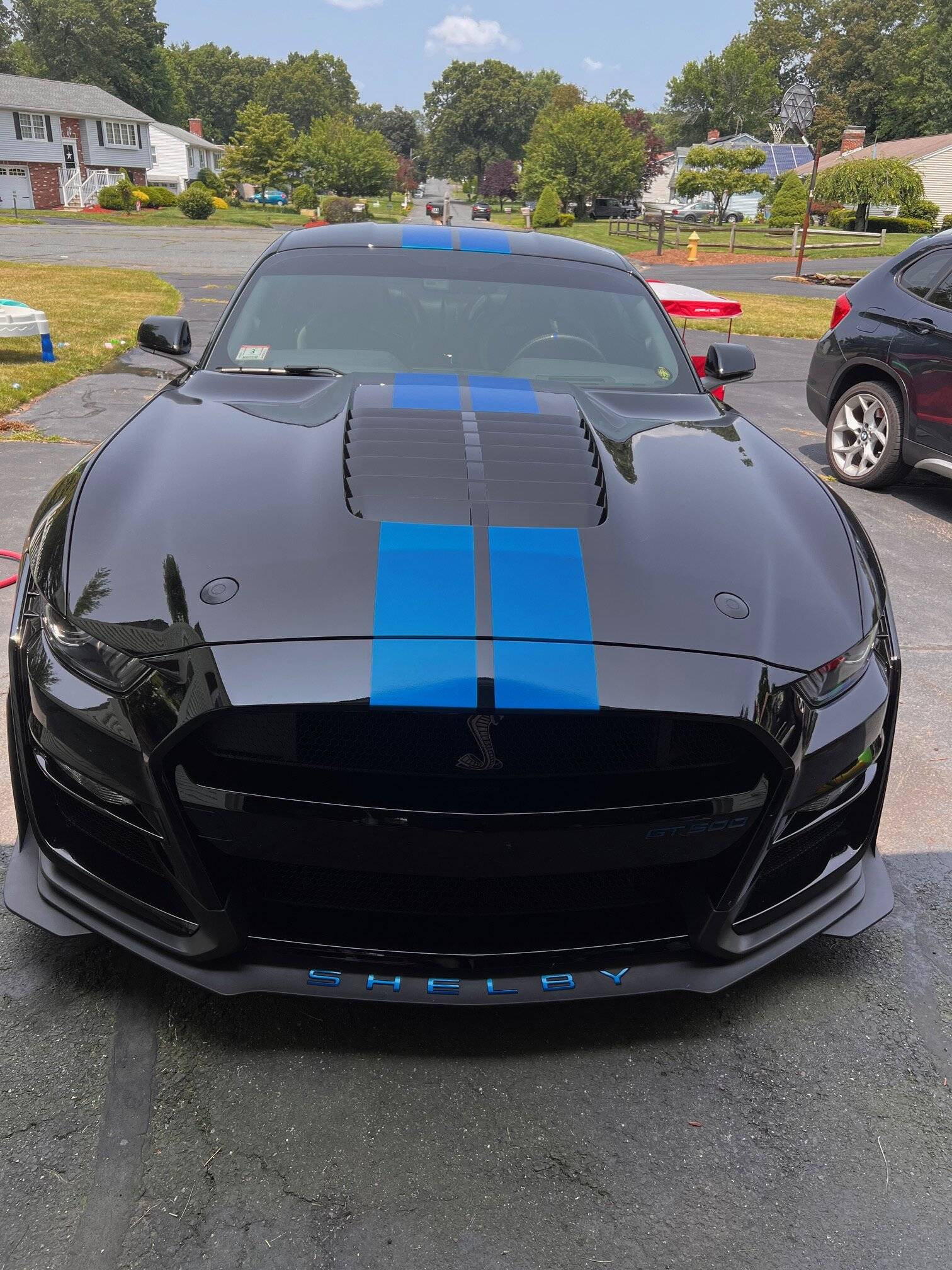 ken-2020-2022-gt500-mustang-dual-full-length-stripes.jpeg