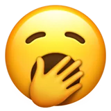 1690728180566.webp