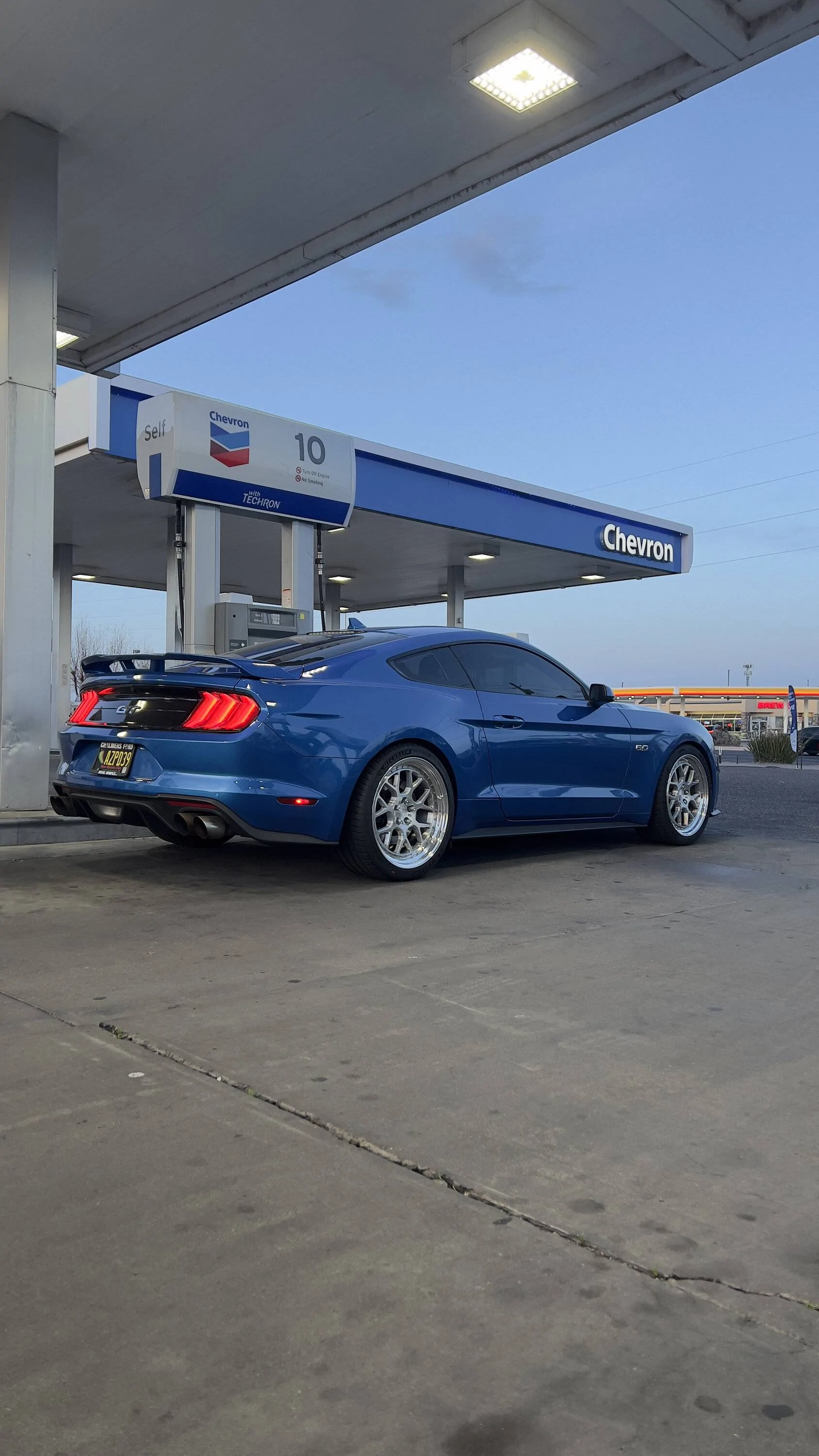 Mustang April Contest .jpg