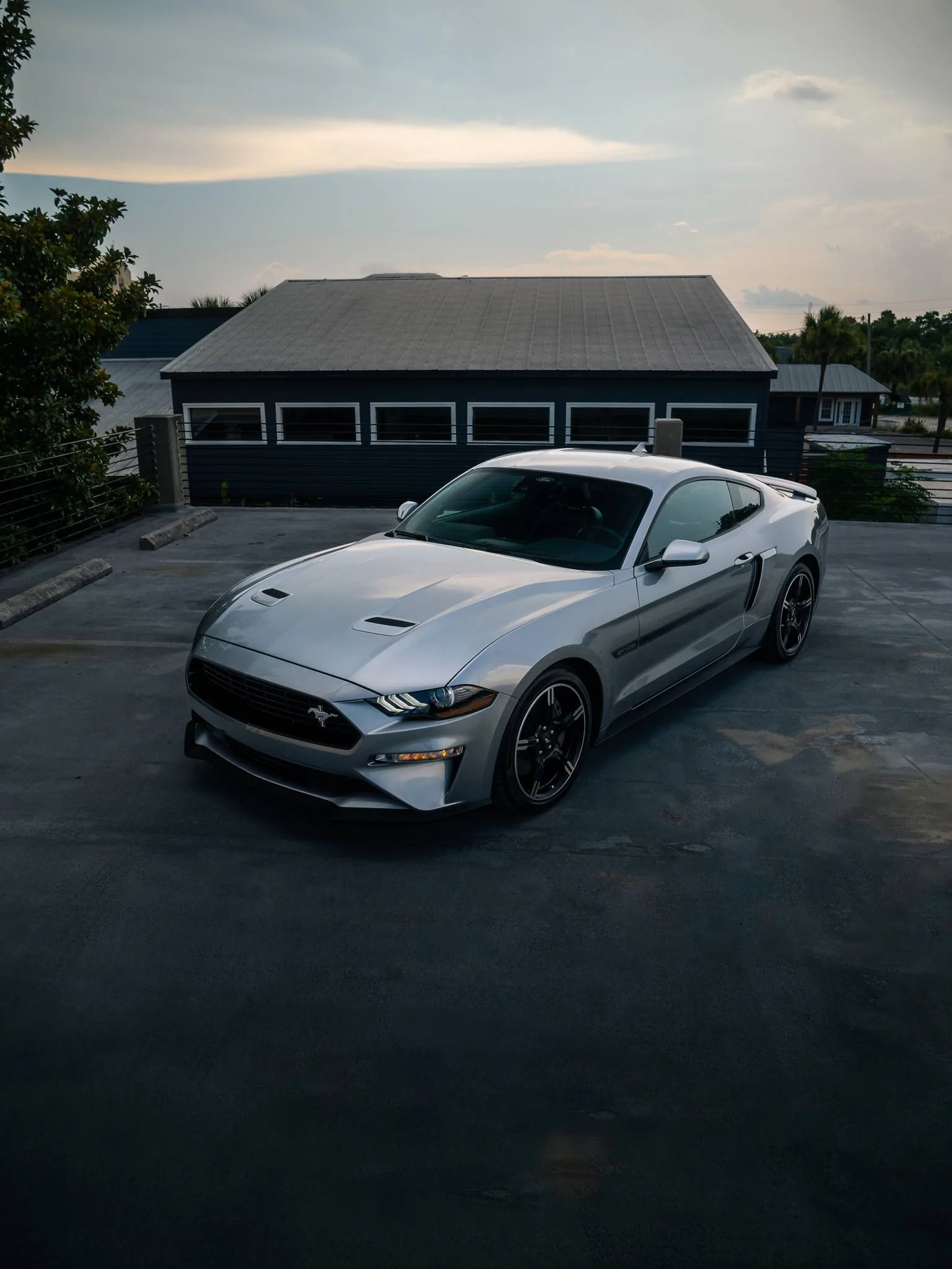 P1110152-2.webp