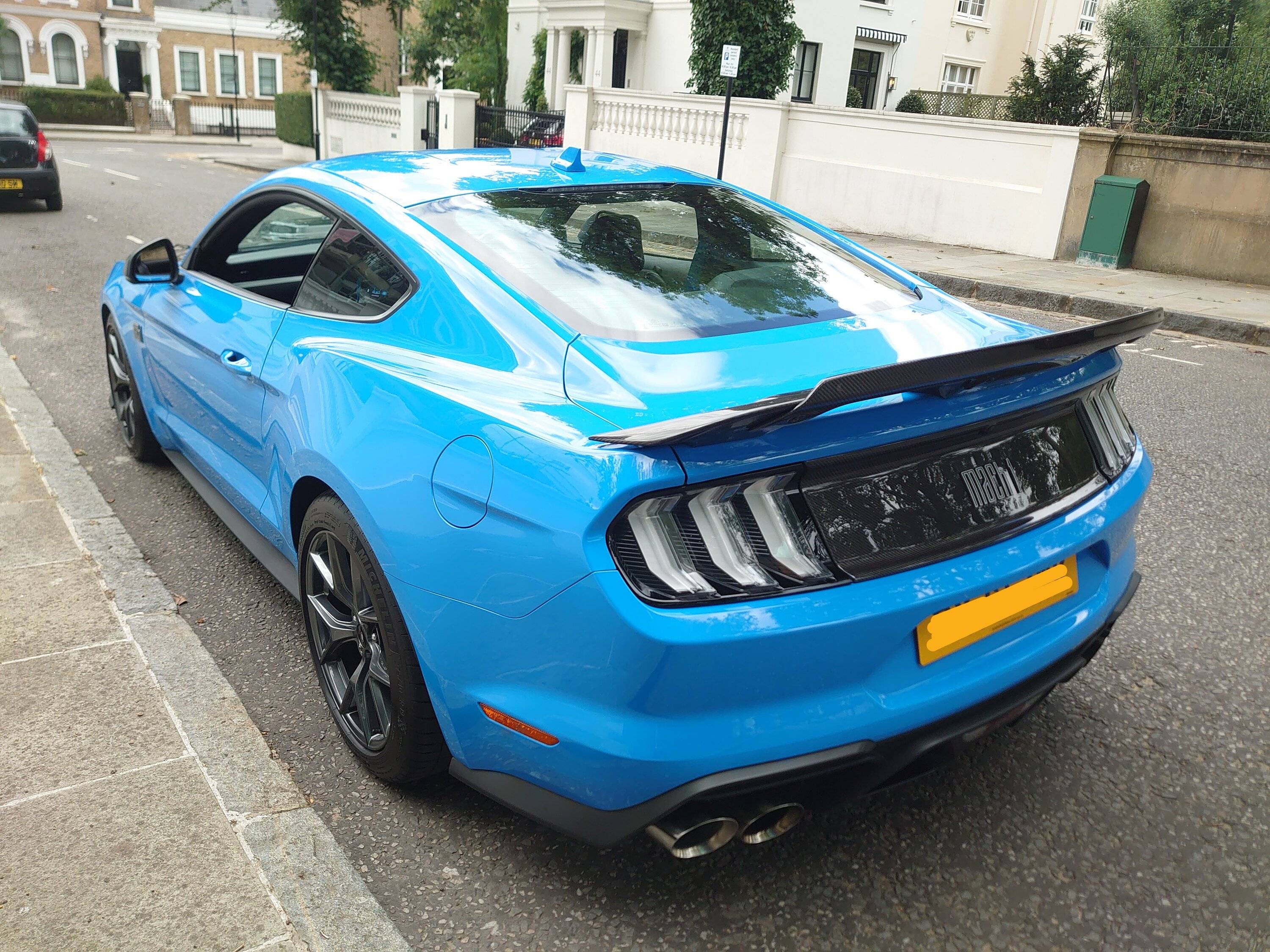 DSC_3410.JPG