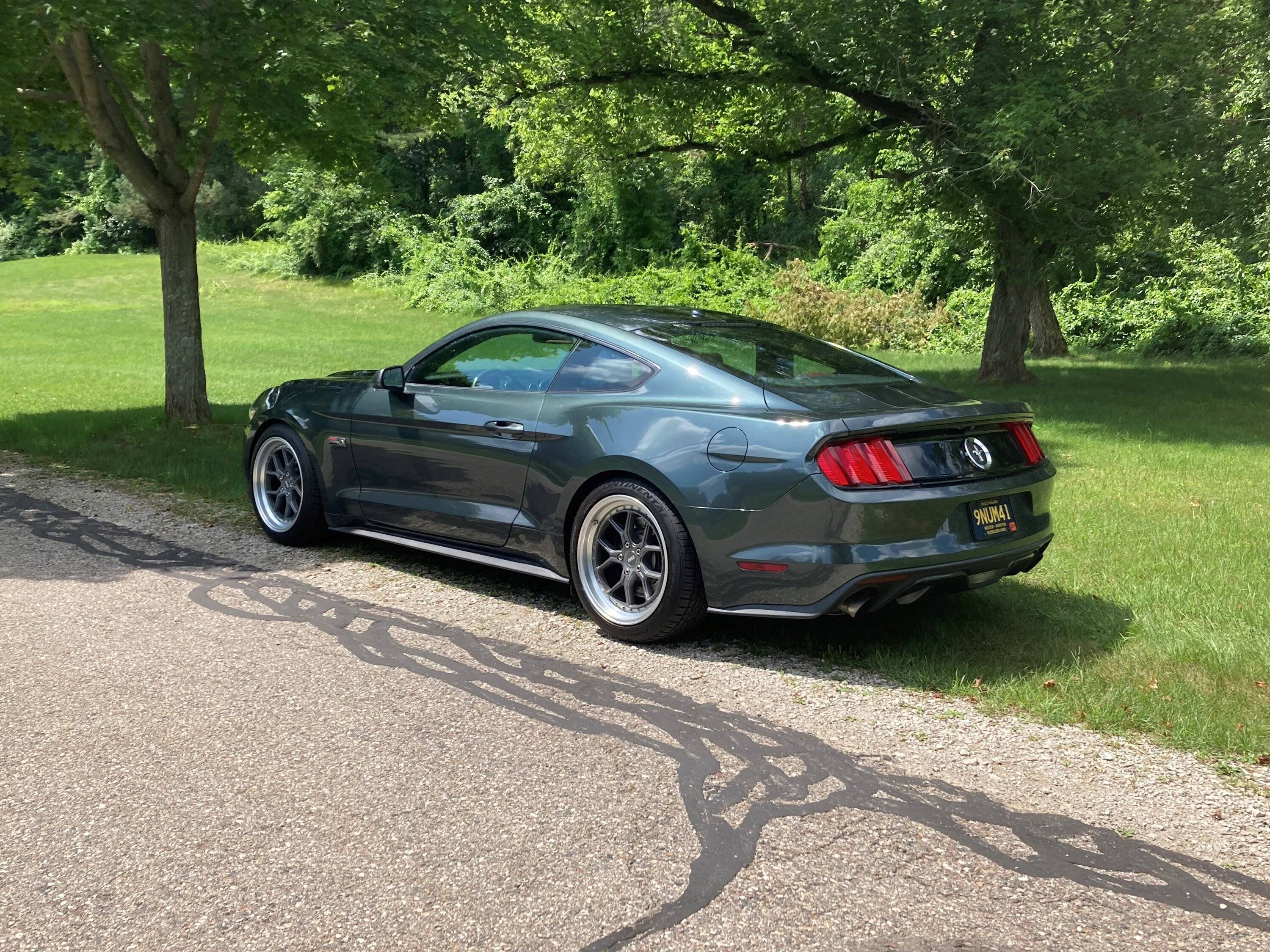 Mustang 1.jpg