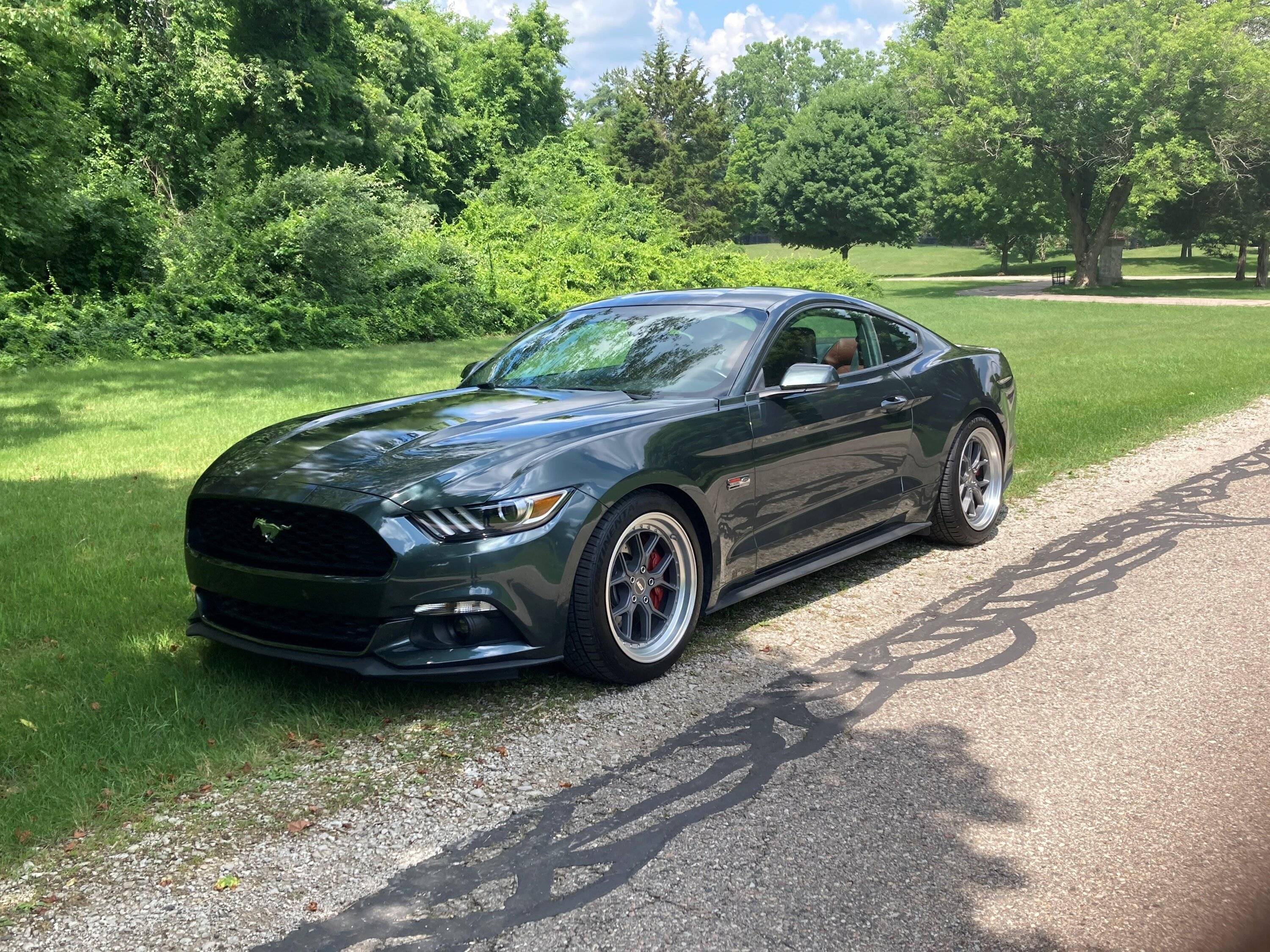 Mustang2.jpg