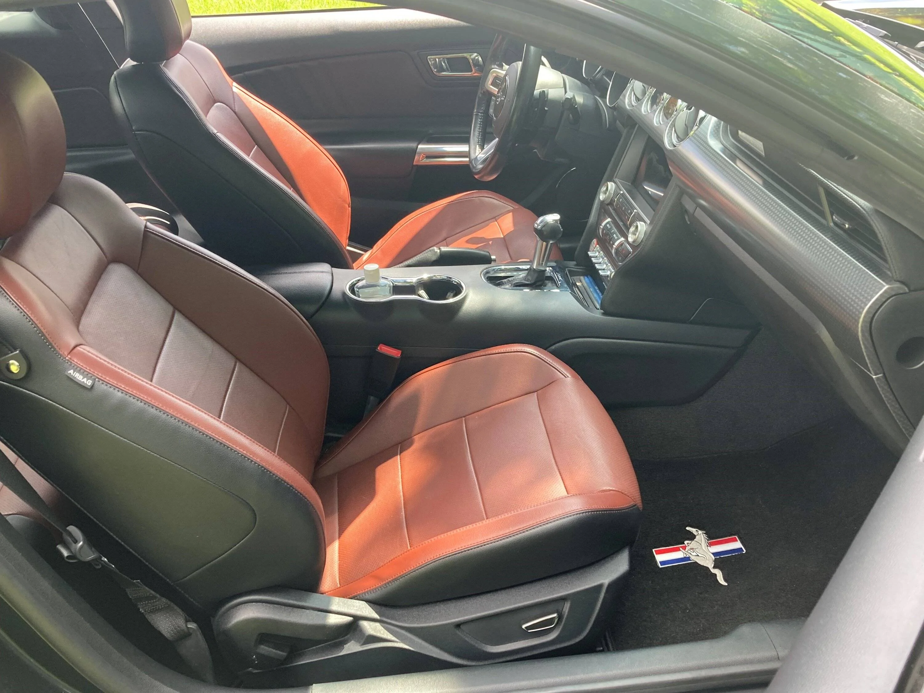Mustang4.webp
