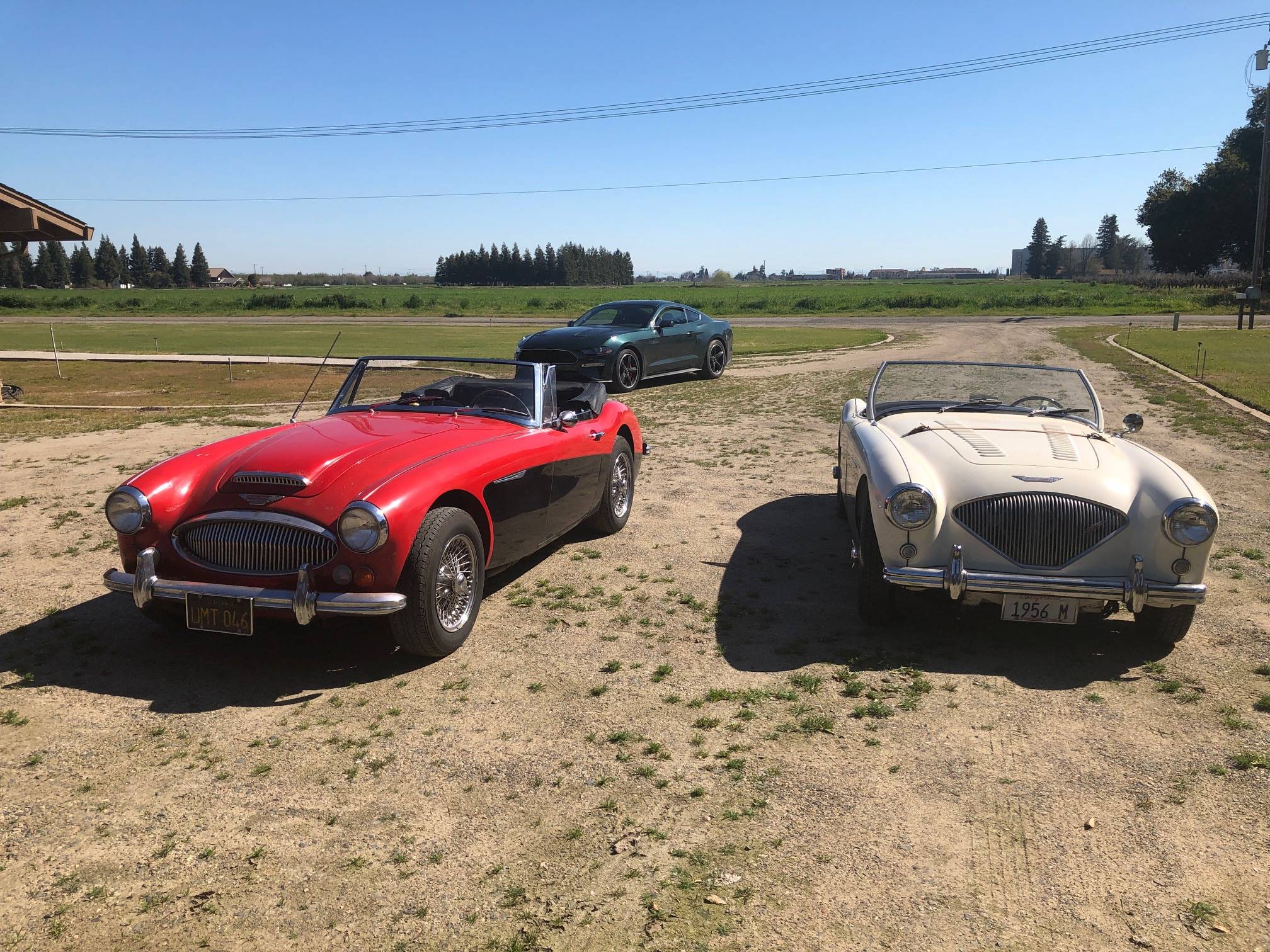 Healeys and Mustangs.JPG