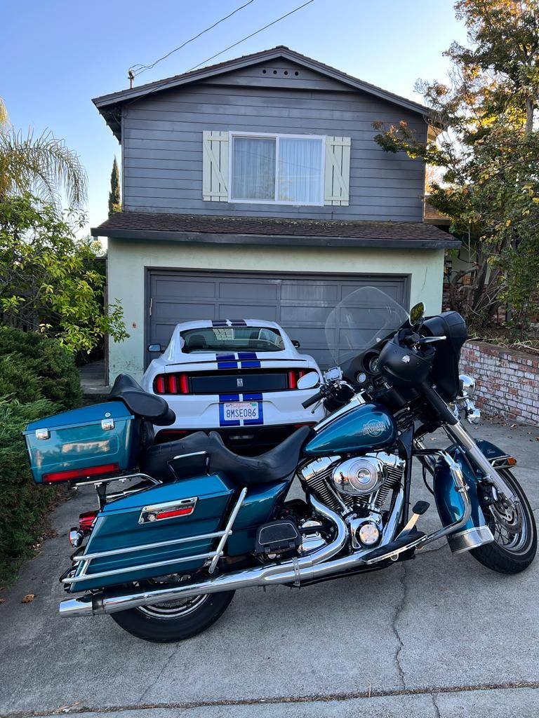 shelby harley 1.jpeg