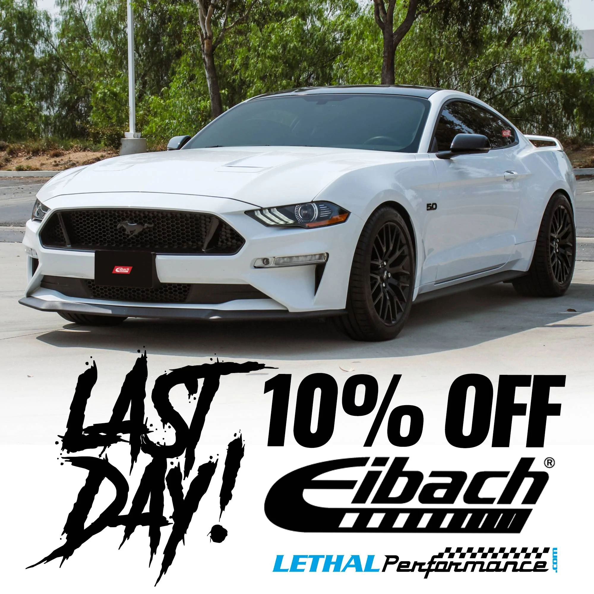 eibach sale rap.webp