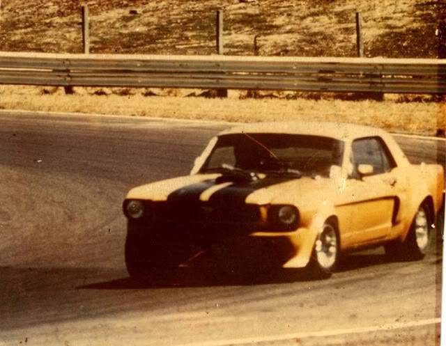 CALDERMUSTANG.jpg