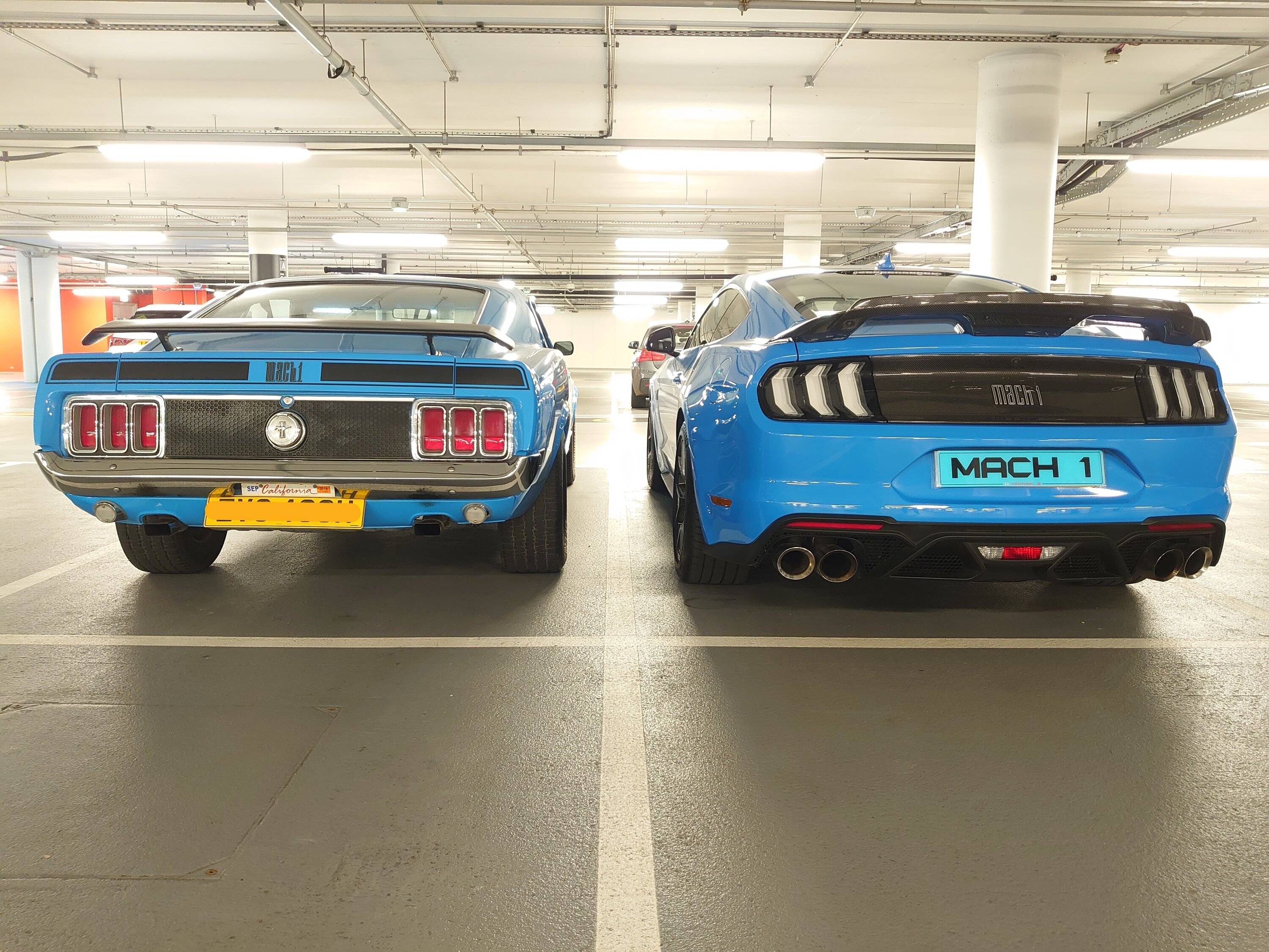 DSC_3523.JPG