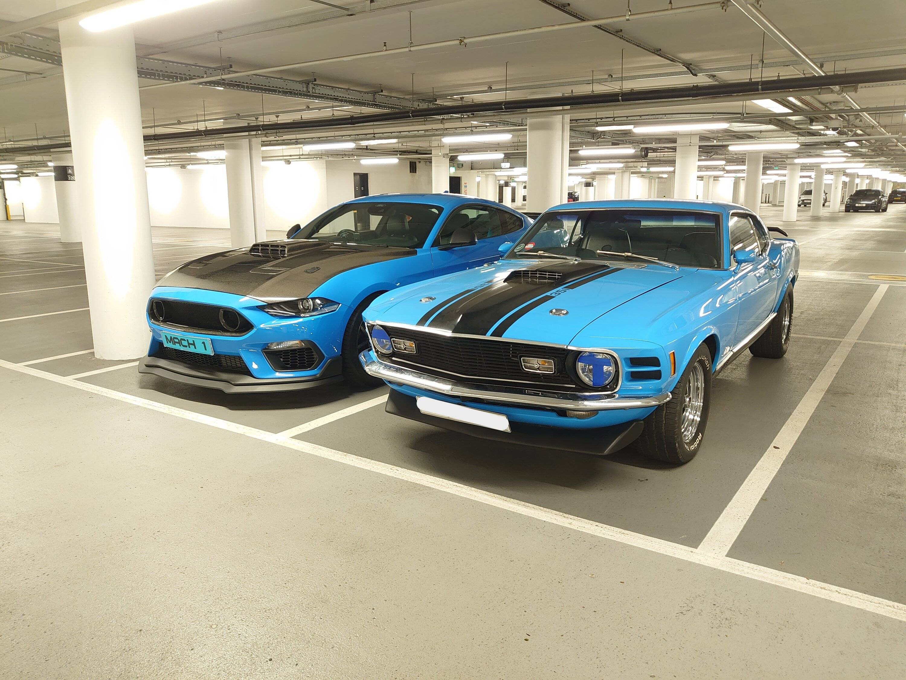 DSC_3512.JPG