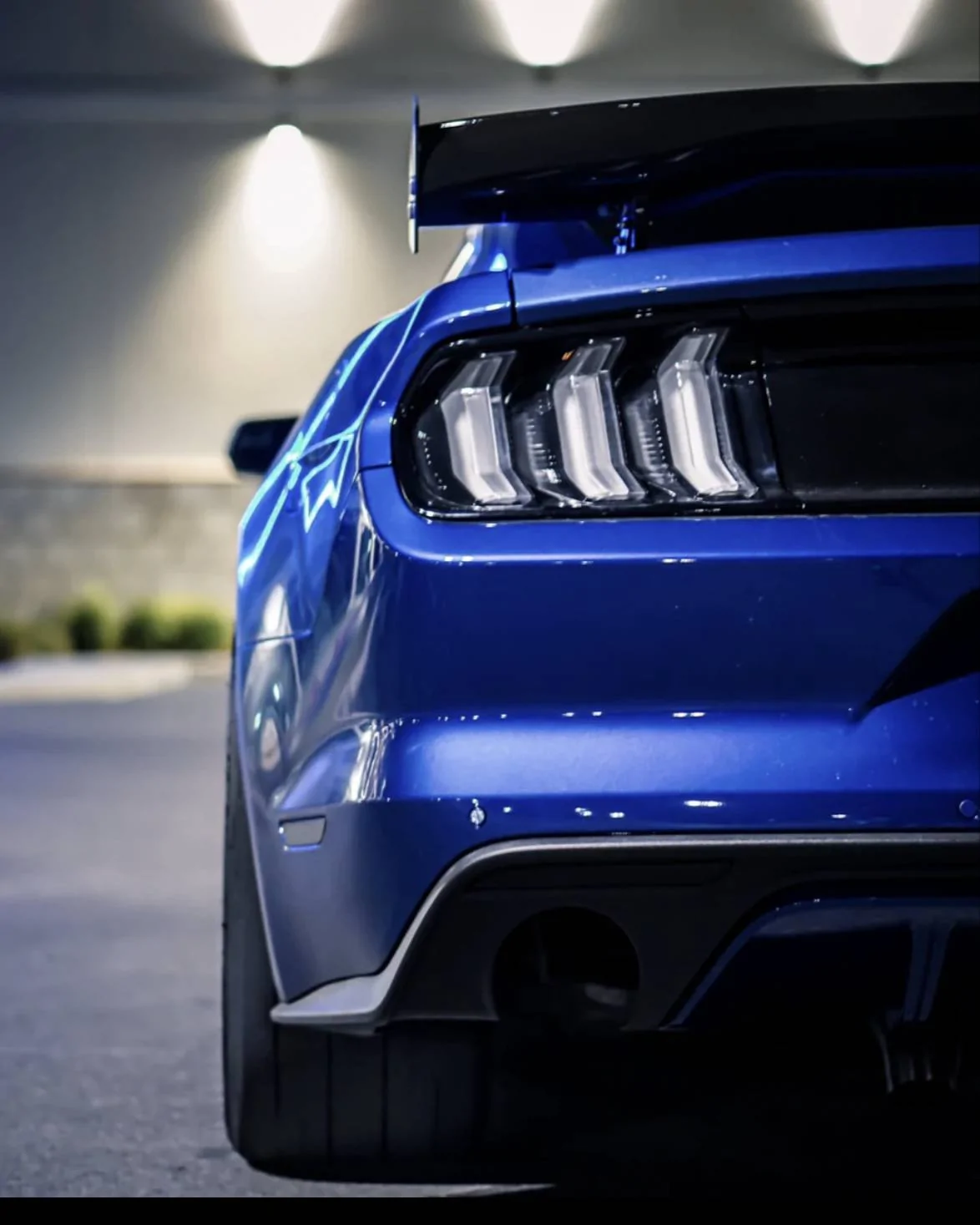 8B78C615-A8D6-4650-869D-8E4152CBF2C7.webp
